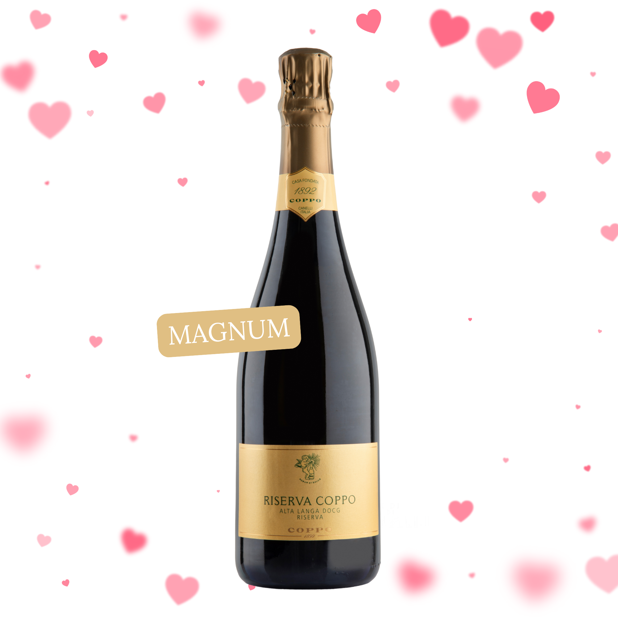Confezione 1 Magnum: Riserva Coppo 2020