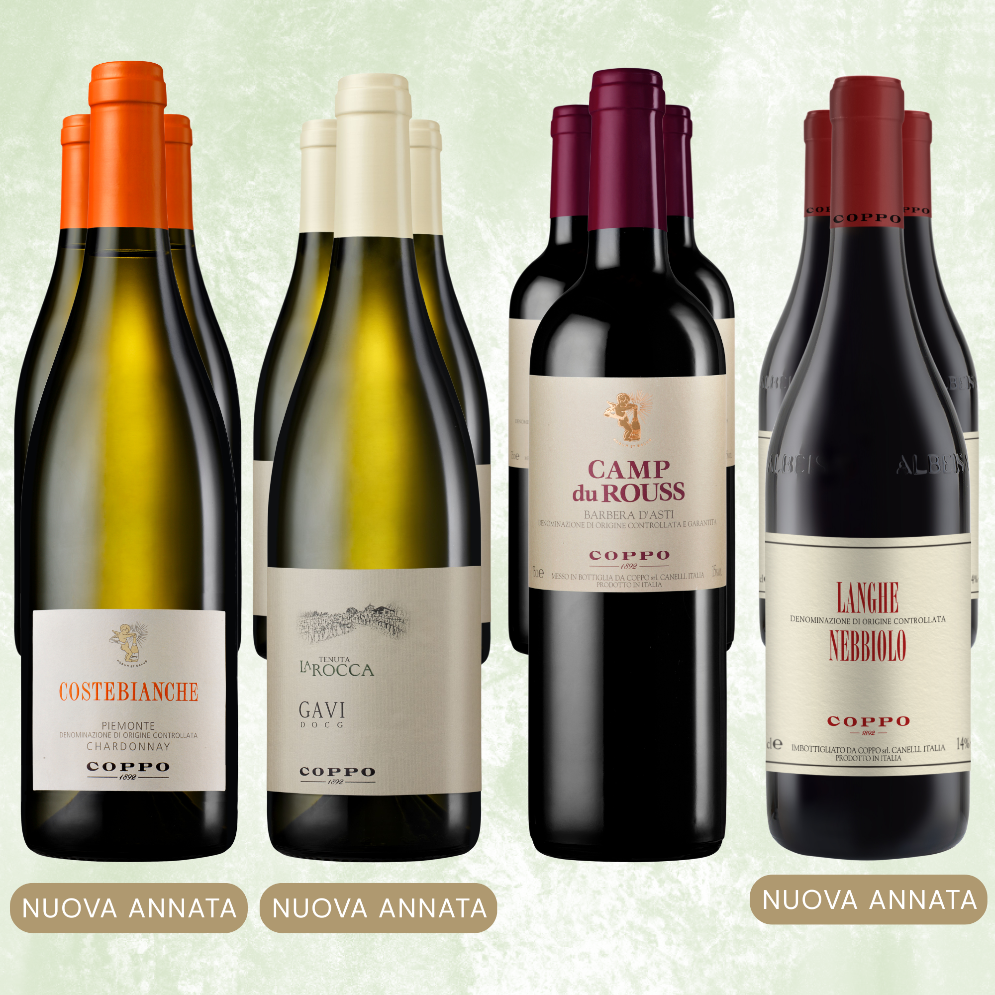 Tre Nuove Annate | 12 bt: Costebianche 2025 (3), Gavi 2025 (3), Nebbiolo 2024 (3), Camp du Rouss 2023 (3)