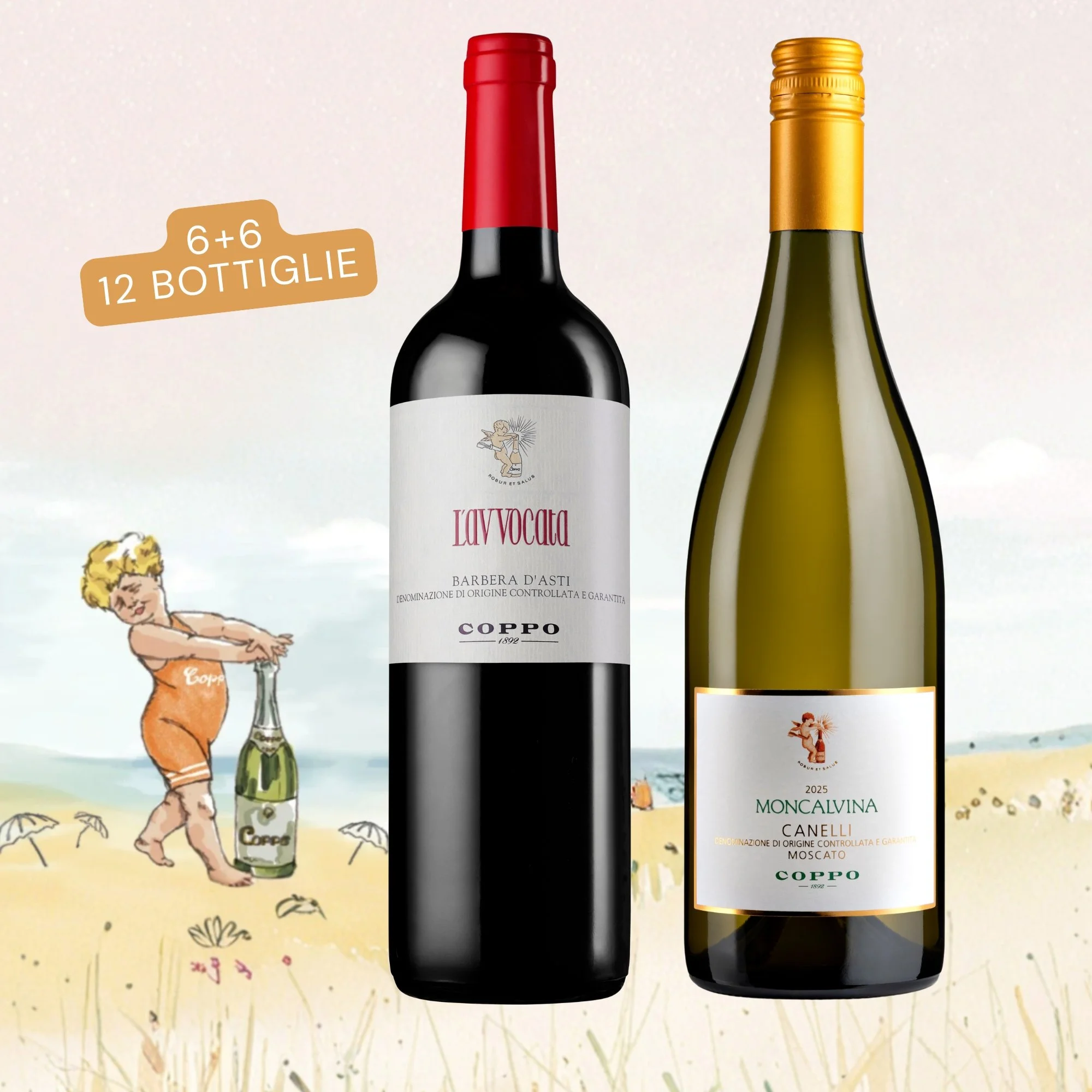 Barbera e Moscato | 12 bt: L'Avvocata 2024 (6), Moncalvina Canelli 2025 (6)