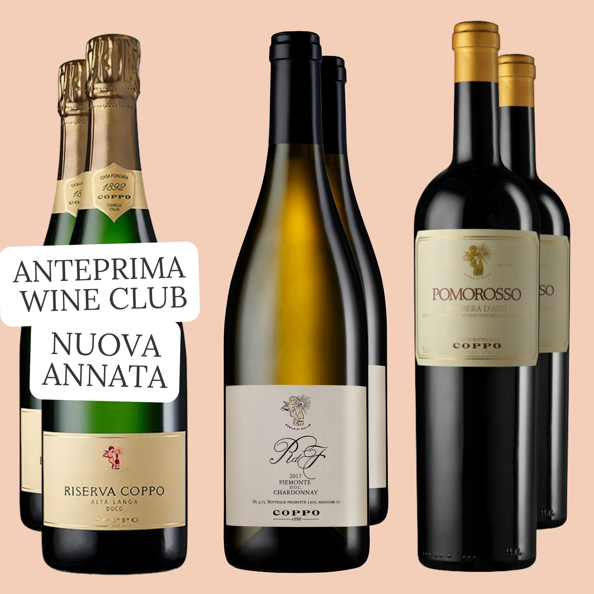 Confezione 6 bottiglie: Riserva Coppo 2020 (2), RdF Chardonnay 2019 (2), Pomorosso 2021 (2)