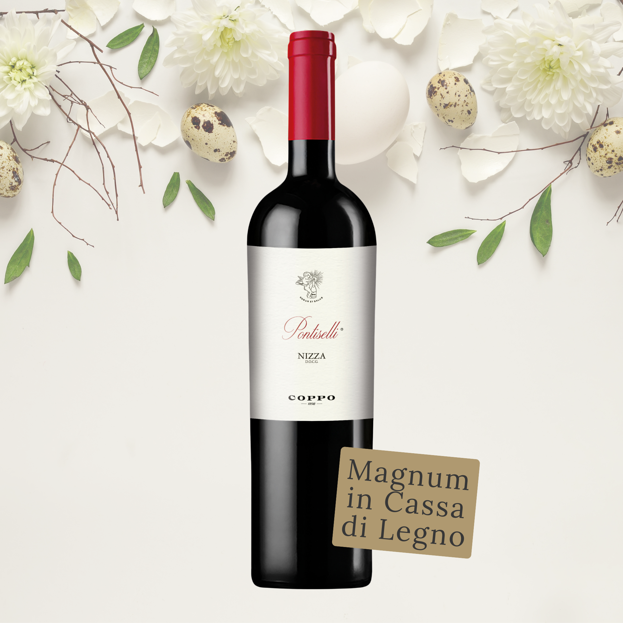 Magnum in cassa di legno: Pontiselli Nizza DOCG 2019 (1) € 139,00