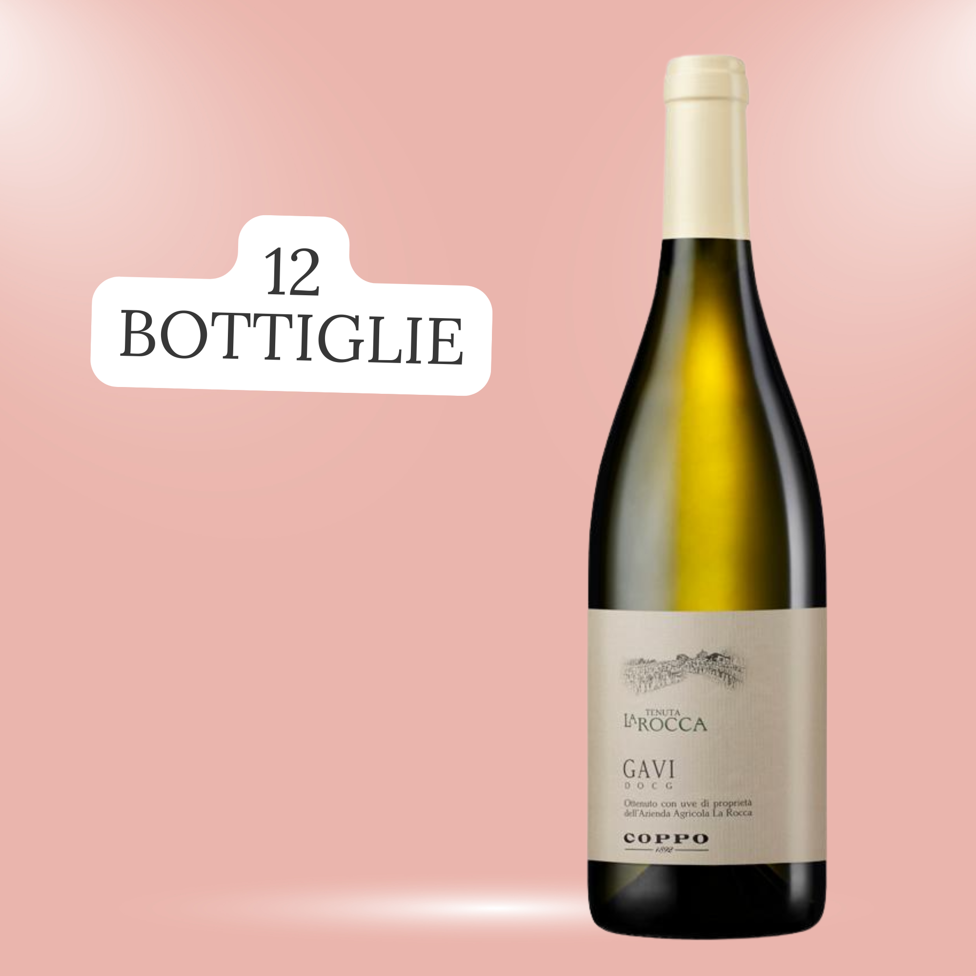 Confezione 12 bottiglie: Gavi La Rocca 2024 (12)