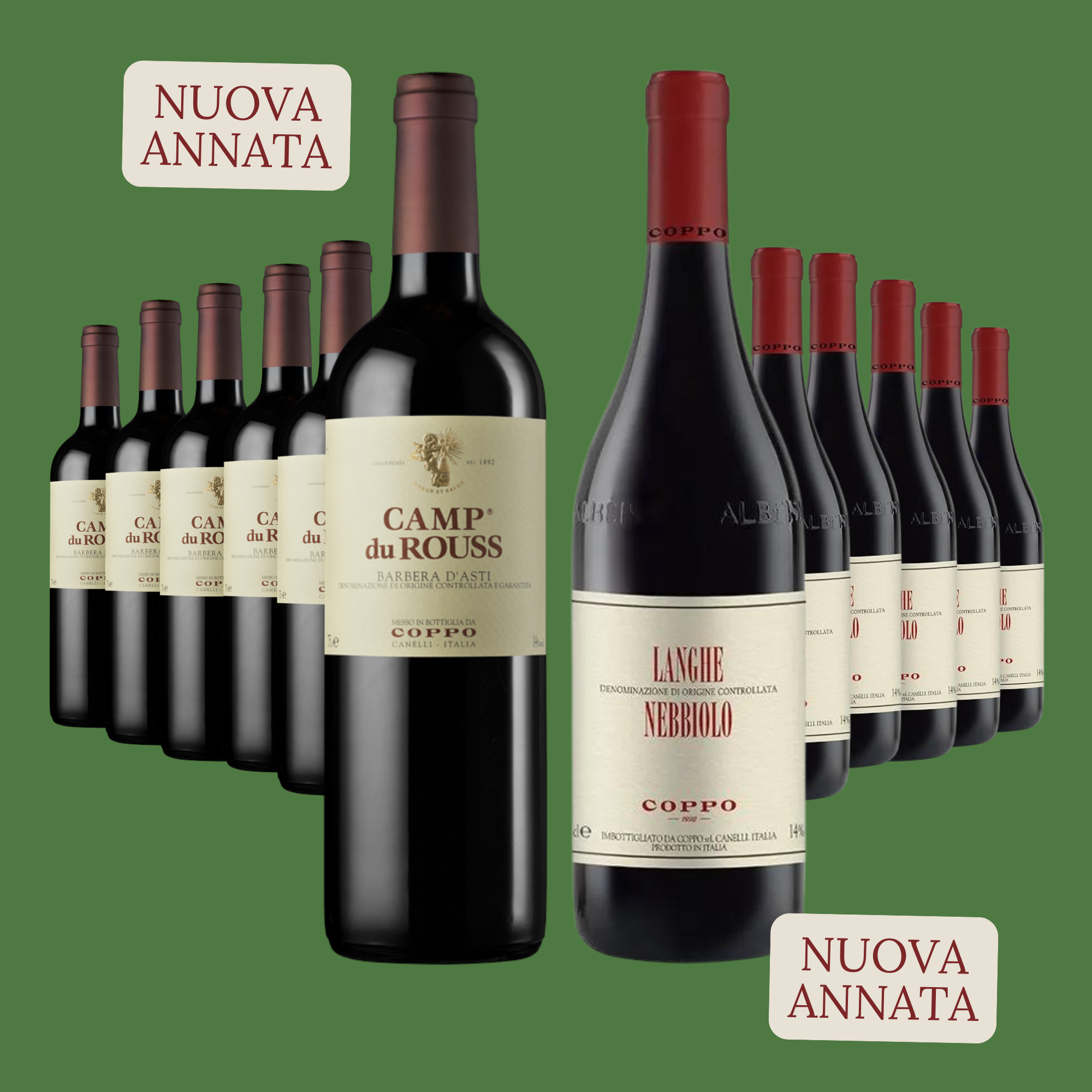 Confezione 12 bt: Camp du Rouss 2023 (6), Langhe Nebbiolo 2023 (6)