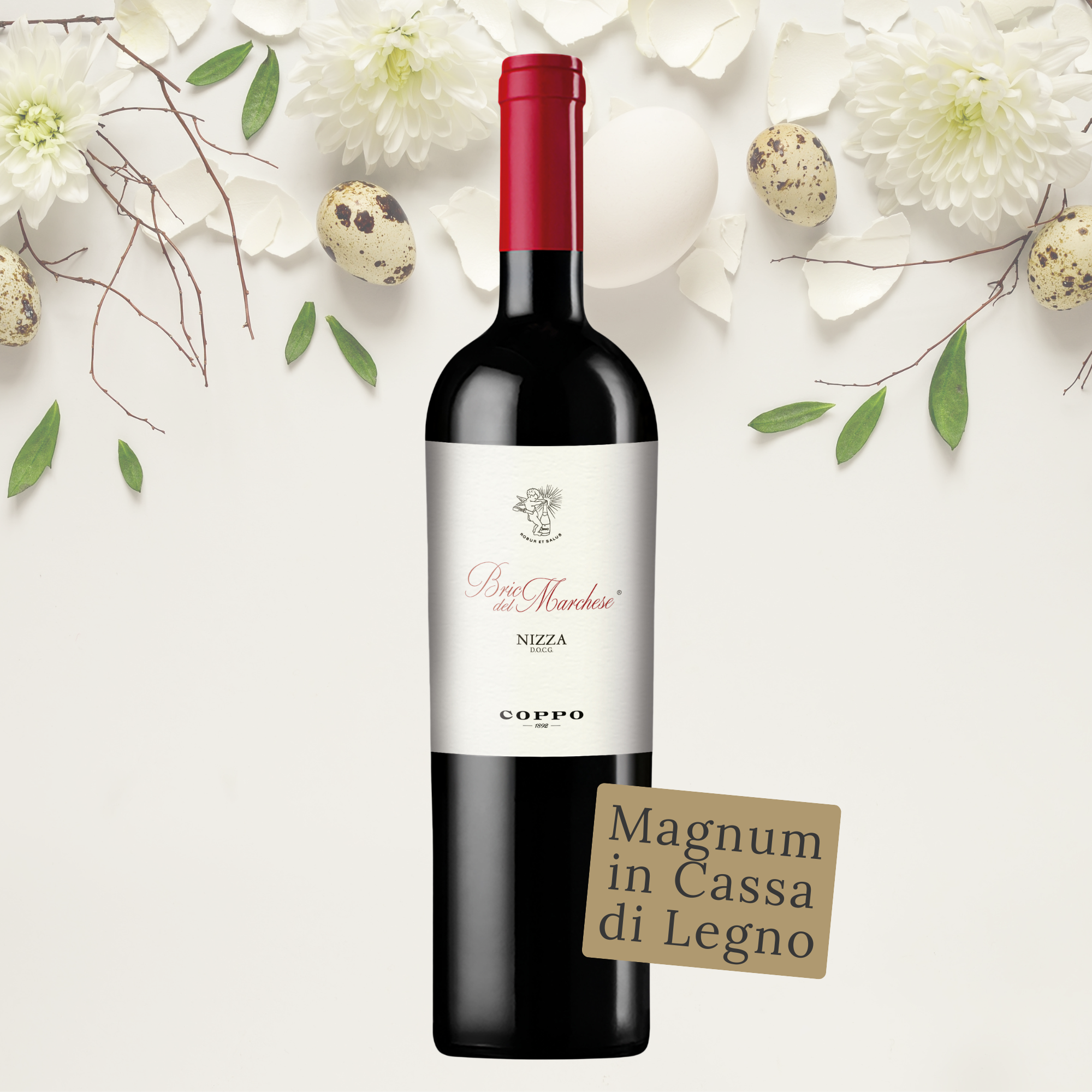 Magnum in cassa di legno: Bric del Marchese Nizza DOCG 2019 (1)