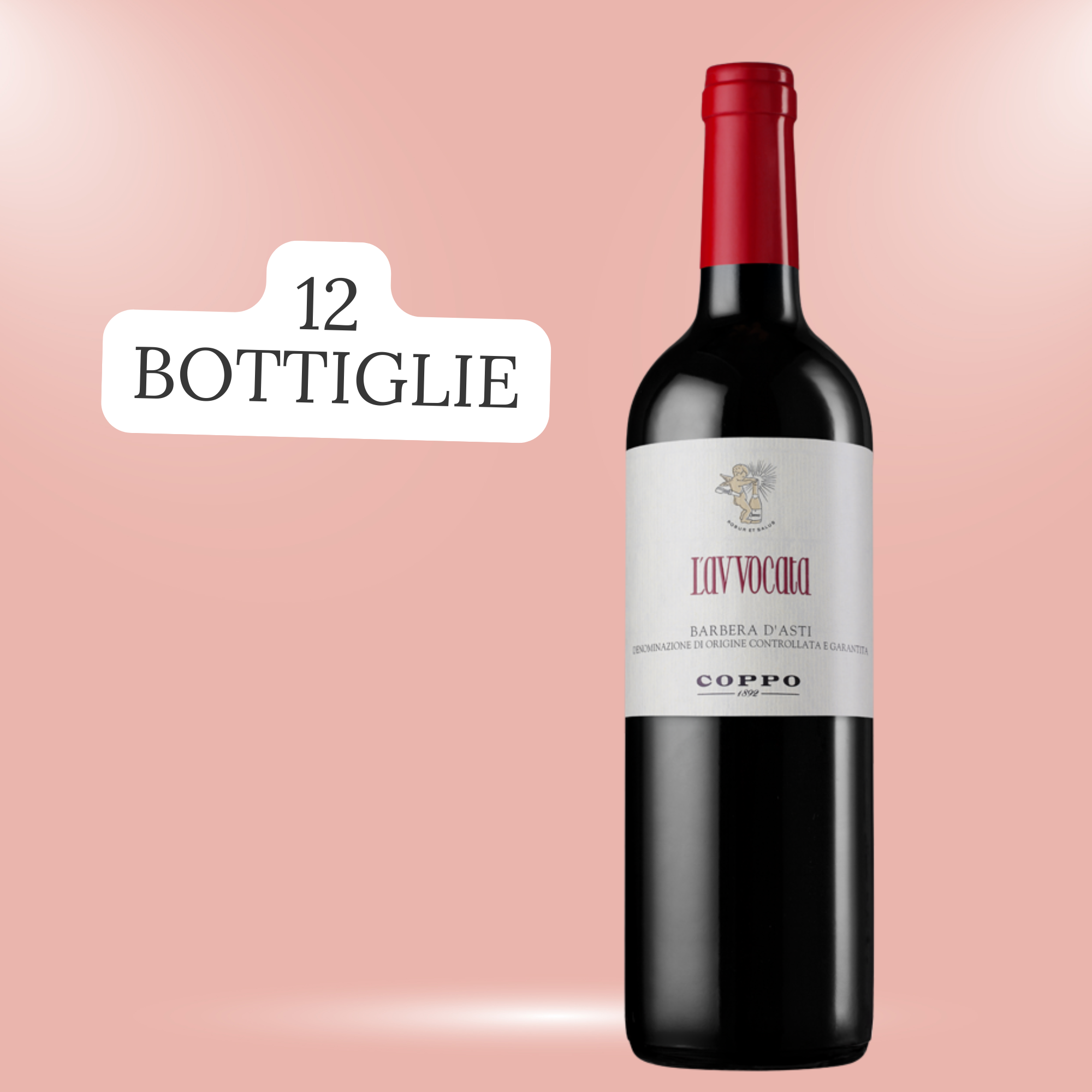 Confezione 12 bottiglie: L’Avvocata 2023 (12)