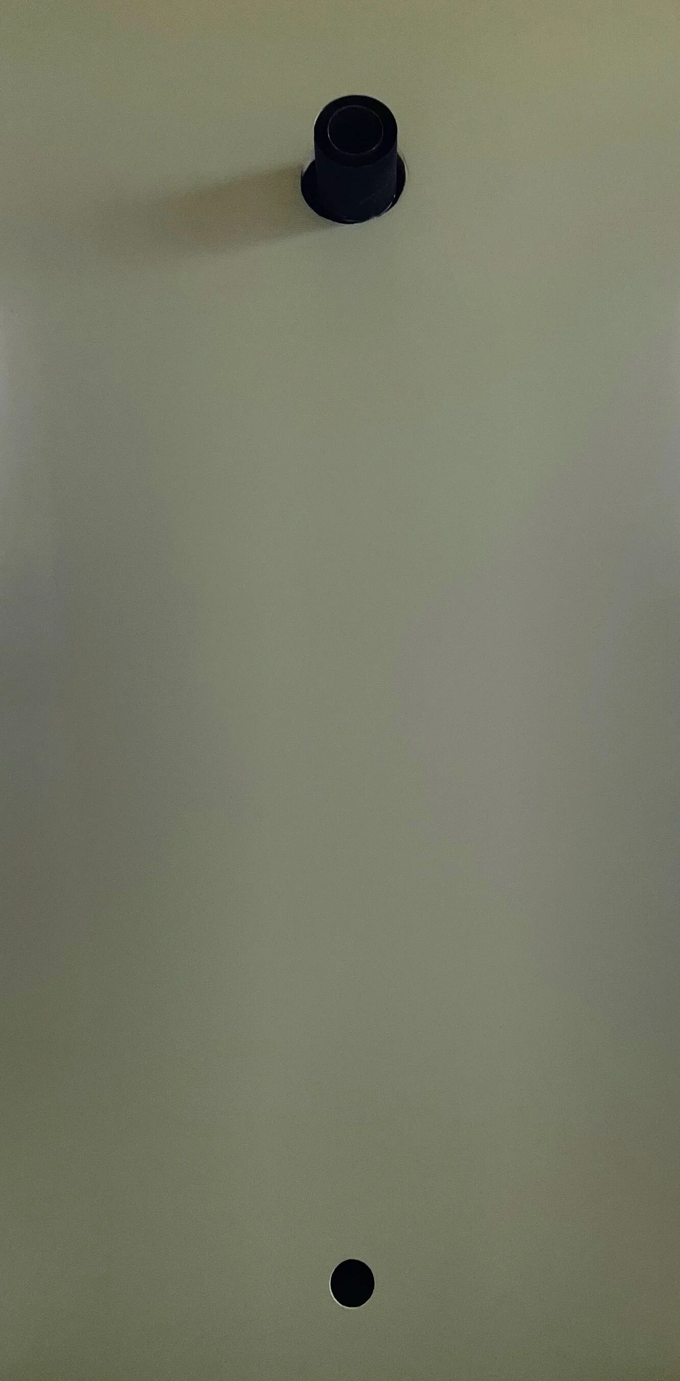 Heute sind wir grün .... 