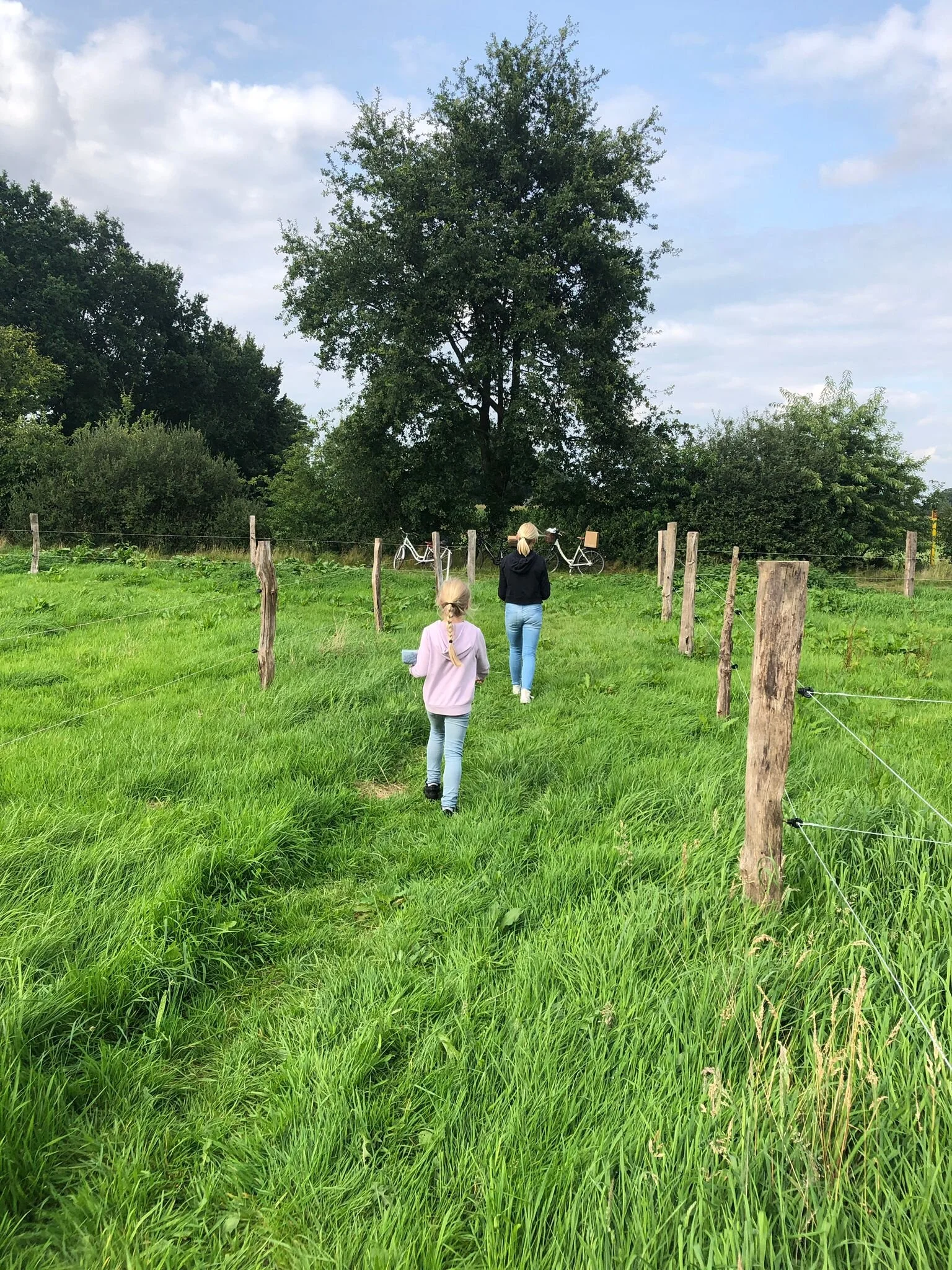 Mit dem Fahrrad zum Bauernhof