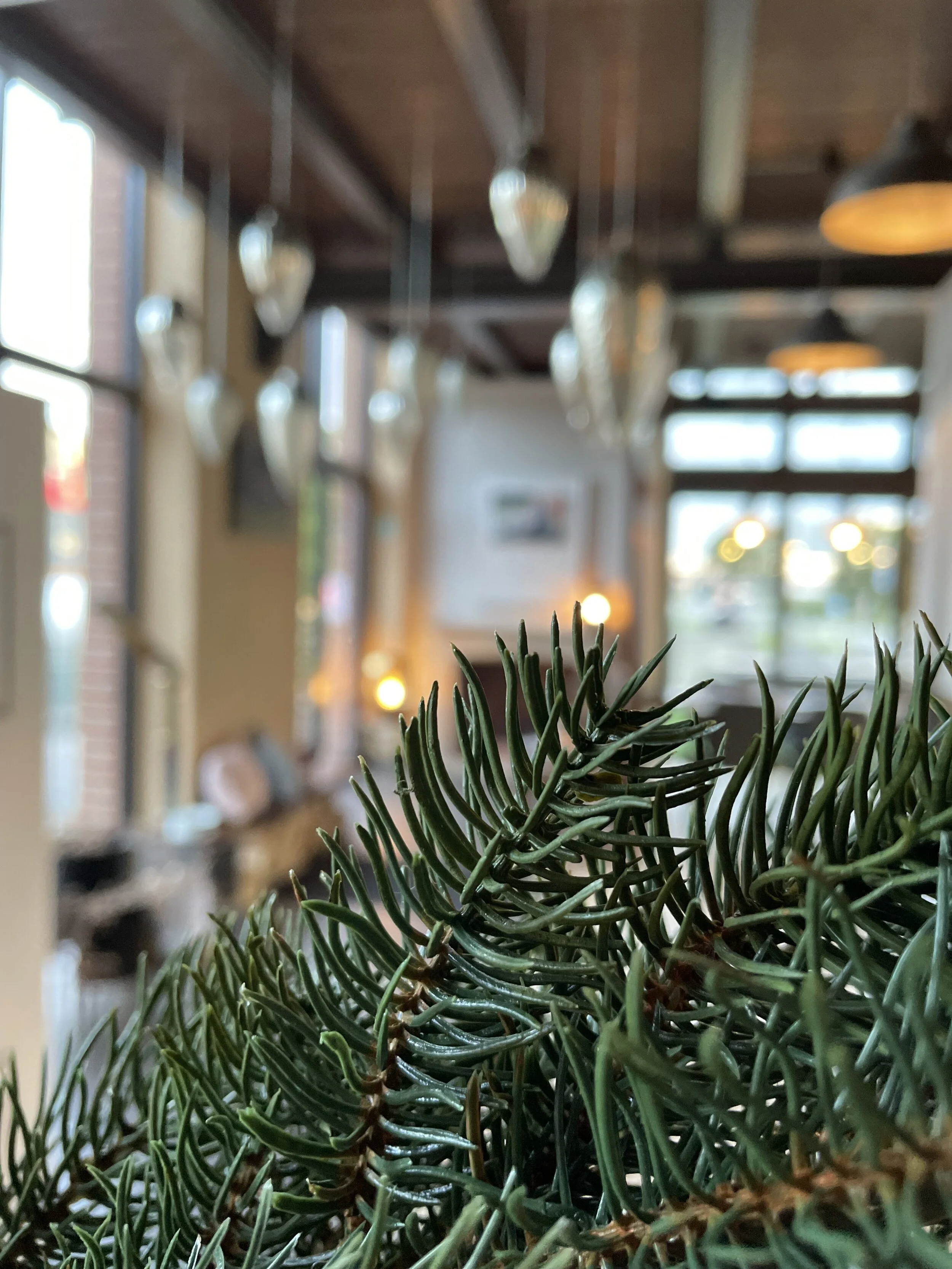 ... es Weihnachtet im Ofenloft