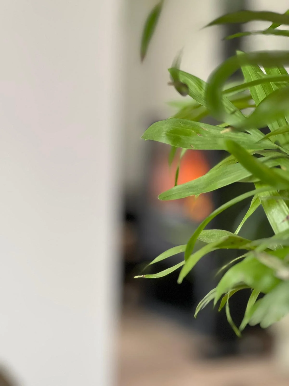 Nehmen wir Platz...urgemütlich so nah am wärmenden Feuer