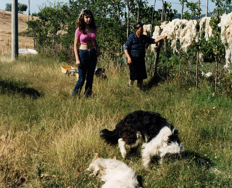 ragazza con cani.jpg