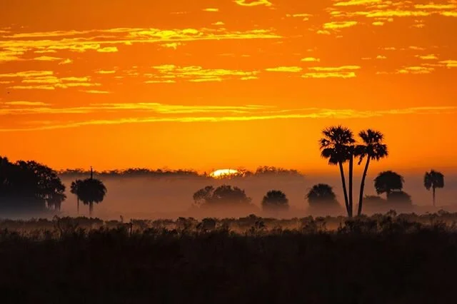 Florida sunrises leaving me speechless. #nomadlife #ontheroad