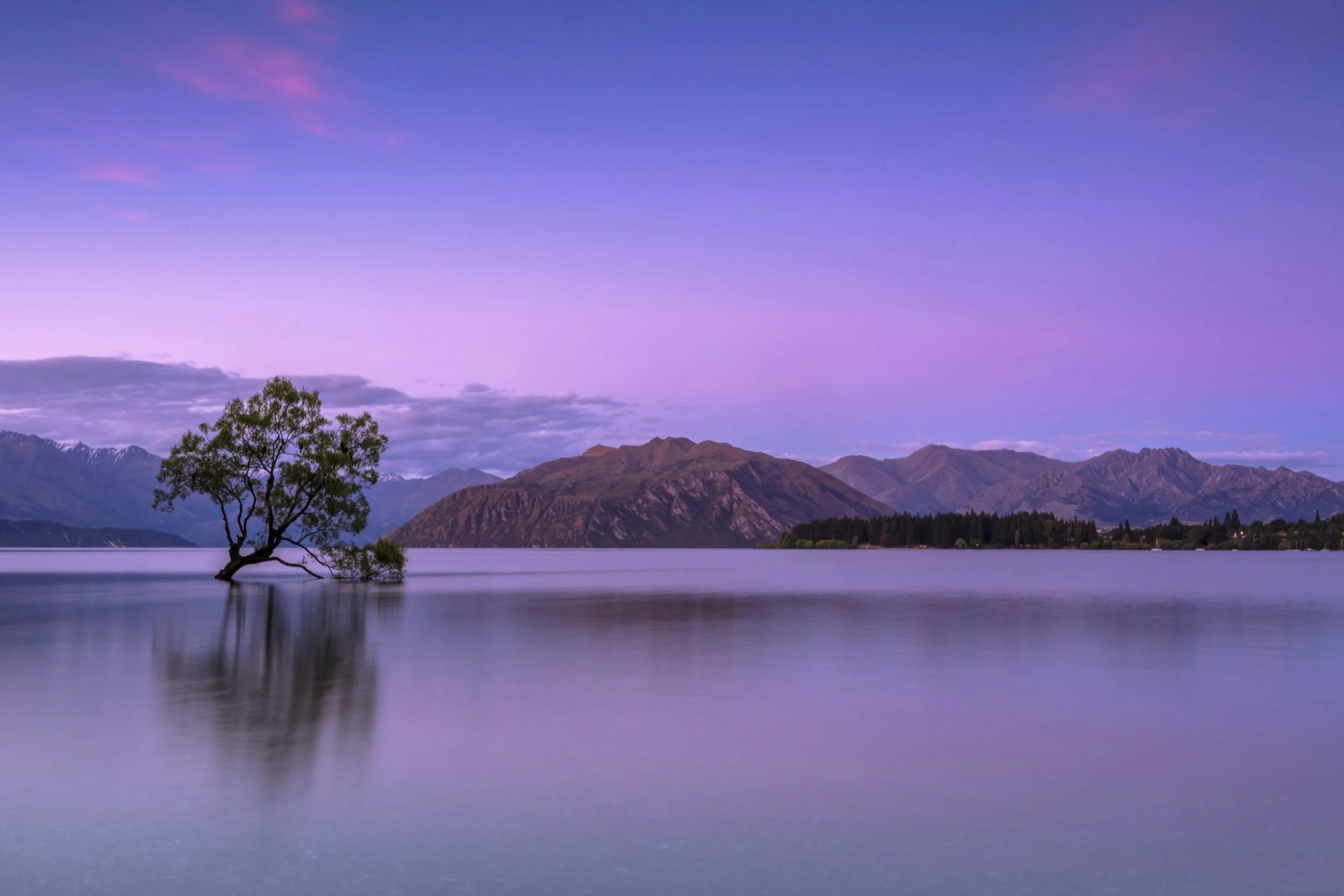 DAY 8: WANAKA