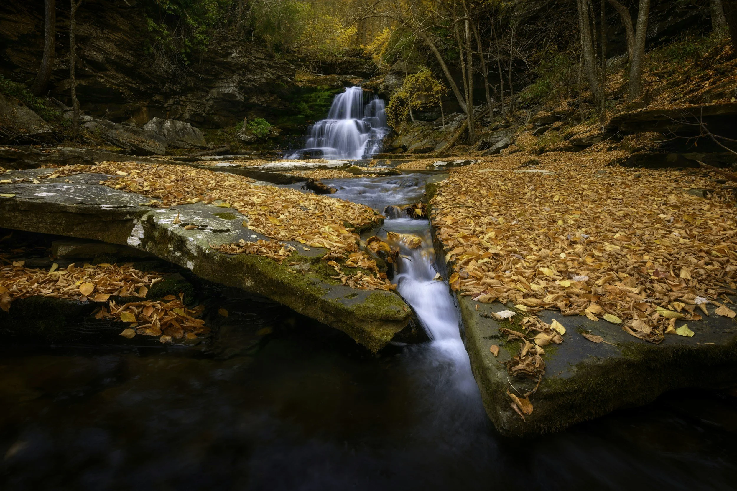 unsplash-image-yln-9HUOvSA.jpg