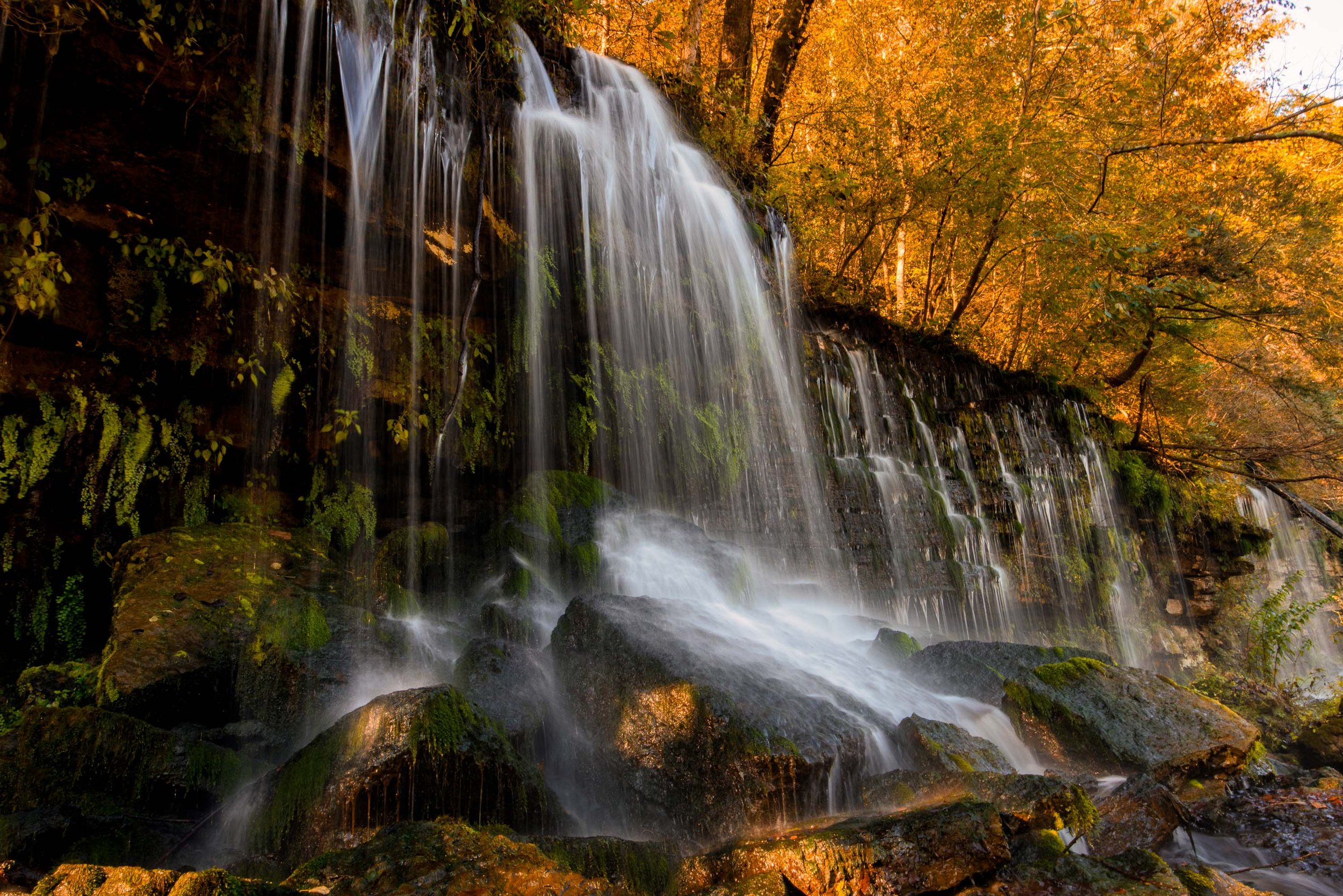 ARS_MID-TN_20251018_9766-Edit.jpg