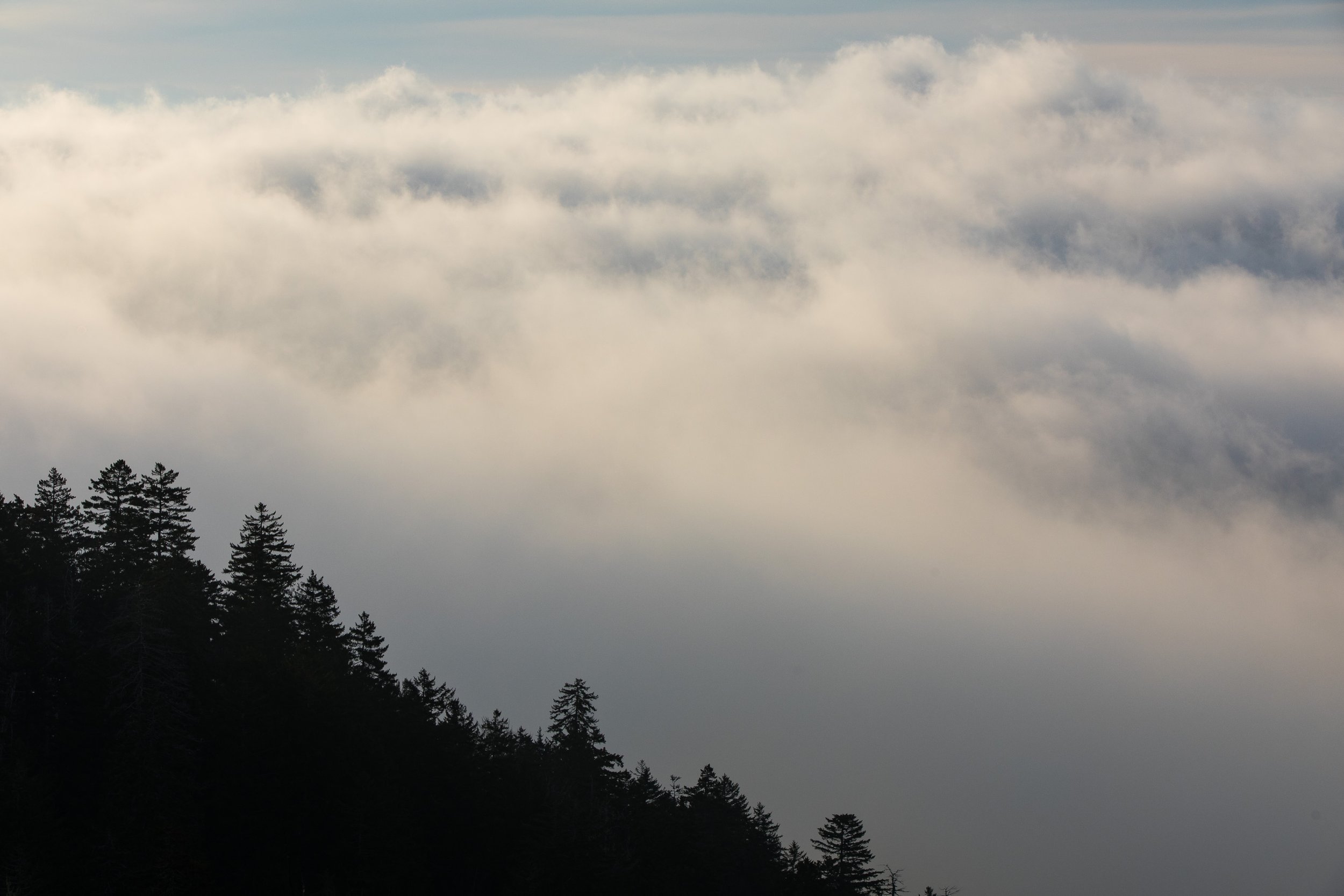 ARS_GSMNP_20180317_6033.jpg