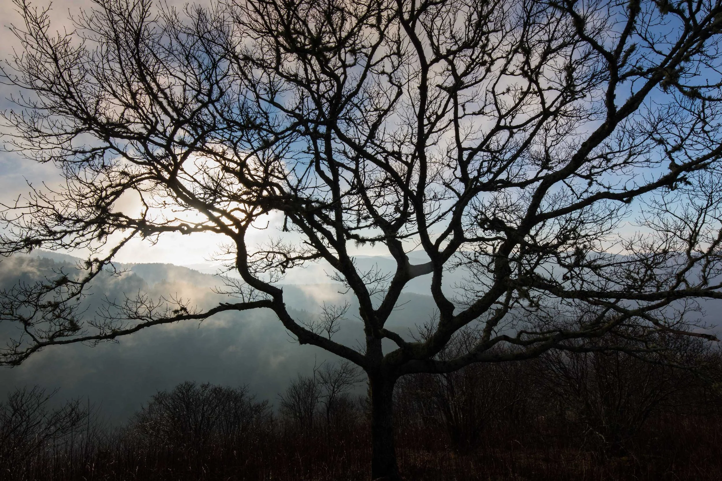 ARS_GSMNP_20180318_6130.jpg