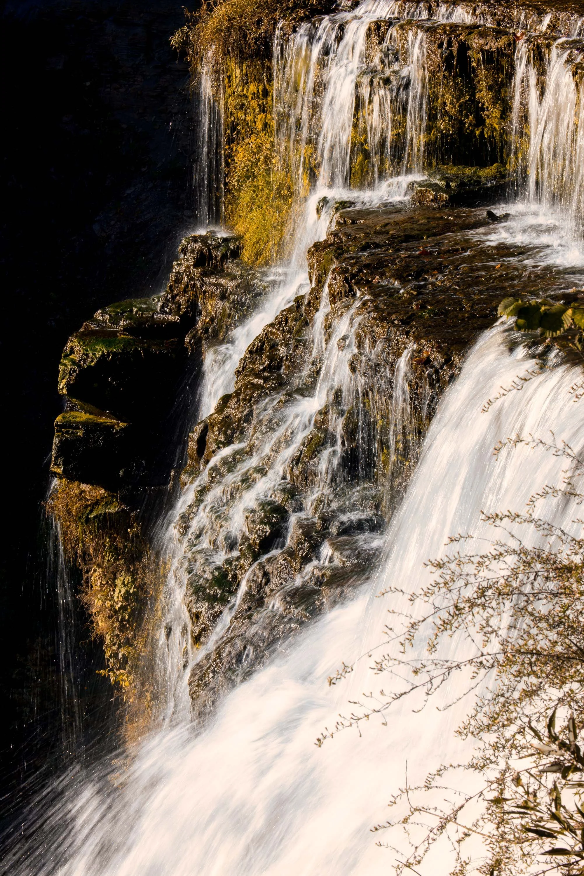 ARS_MID-TN_20251016_9368-Edit.jpg