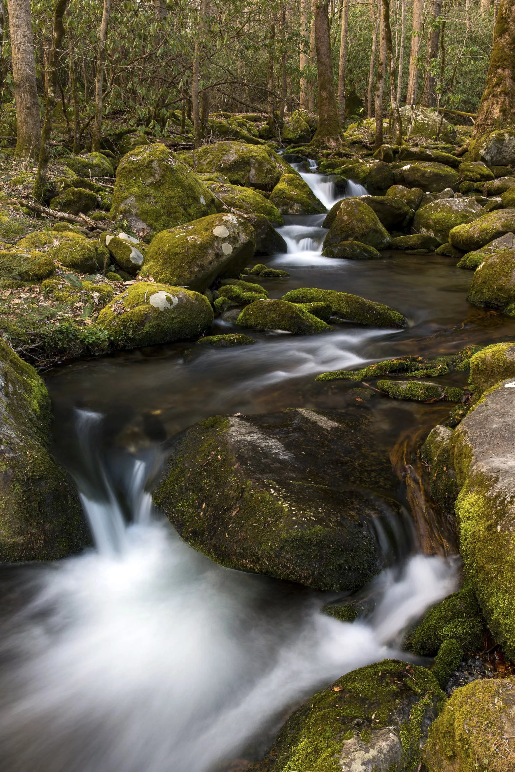 ARS_GSMNP_20180316_5991.jpg