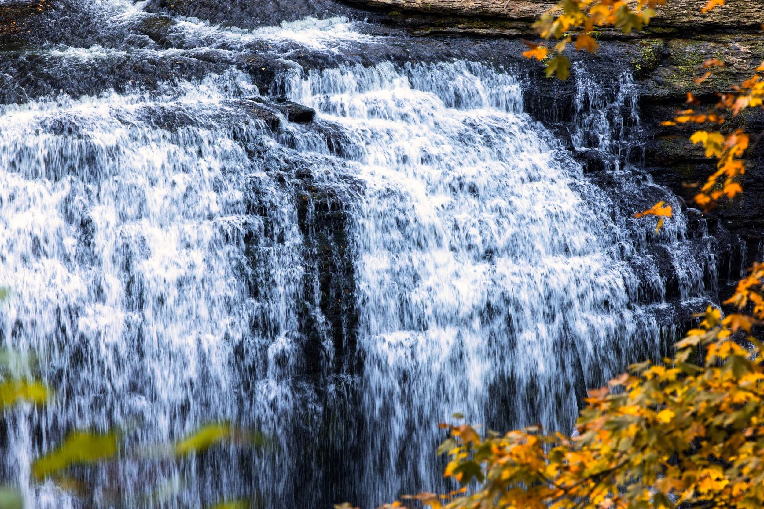 ARS_MID-TN_20251016_9488-Edit.jpg