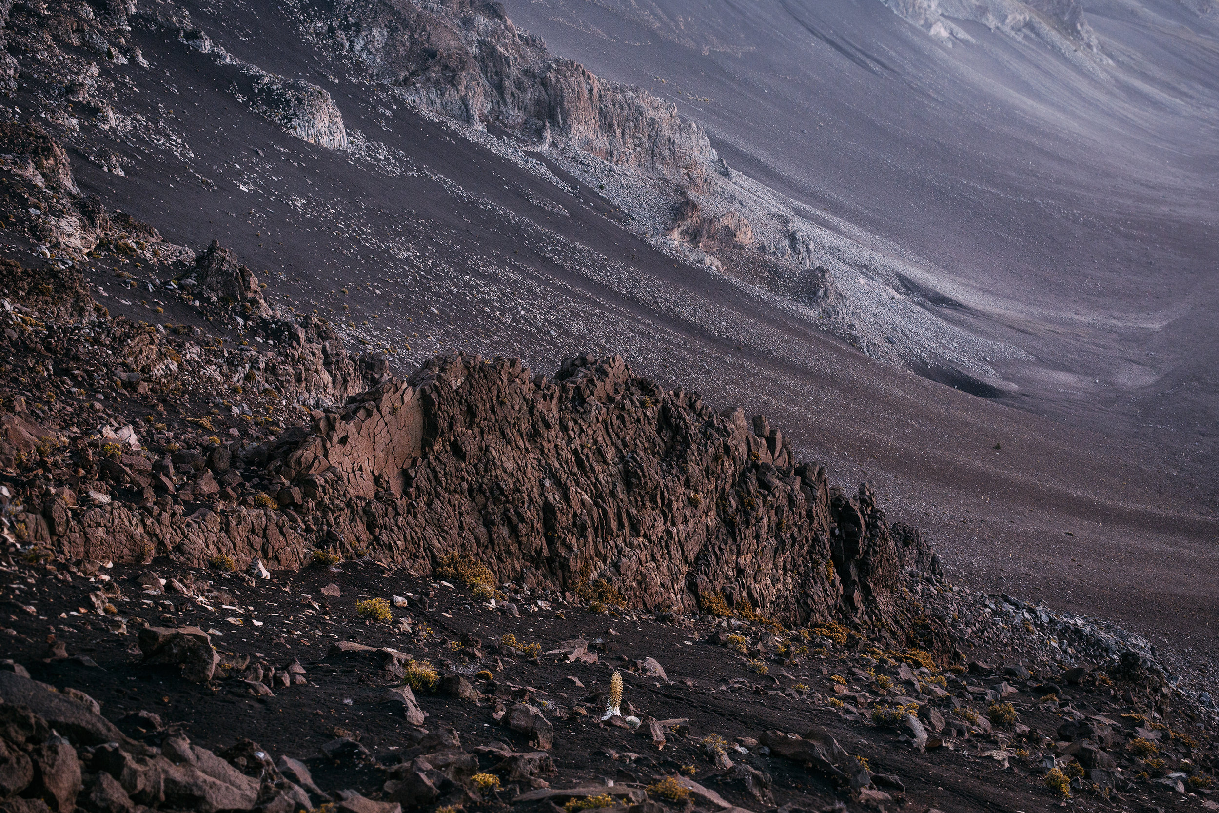 AI For Fun: Sci-Fi vs. Reality 