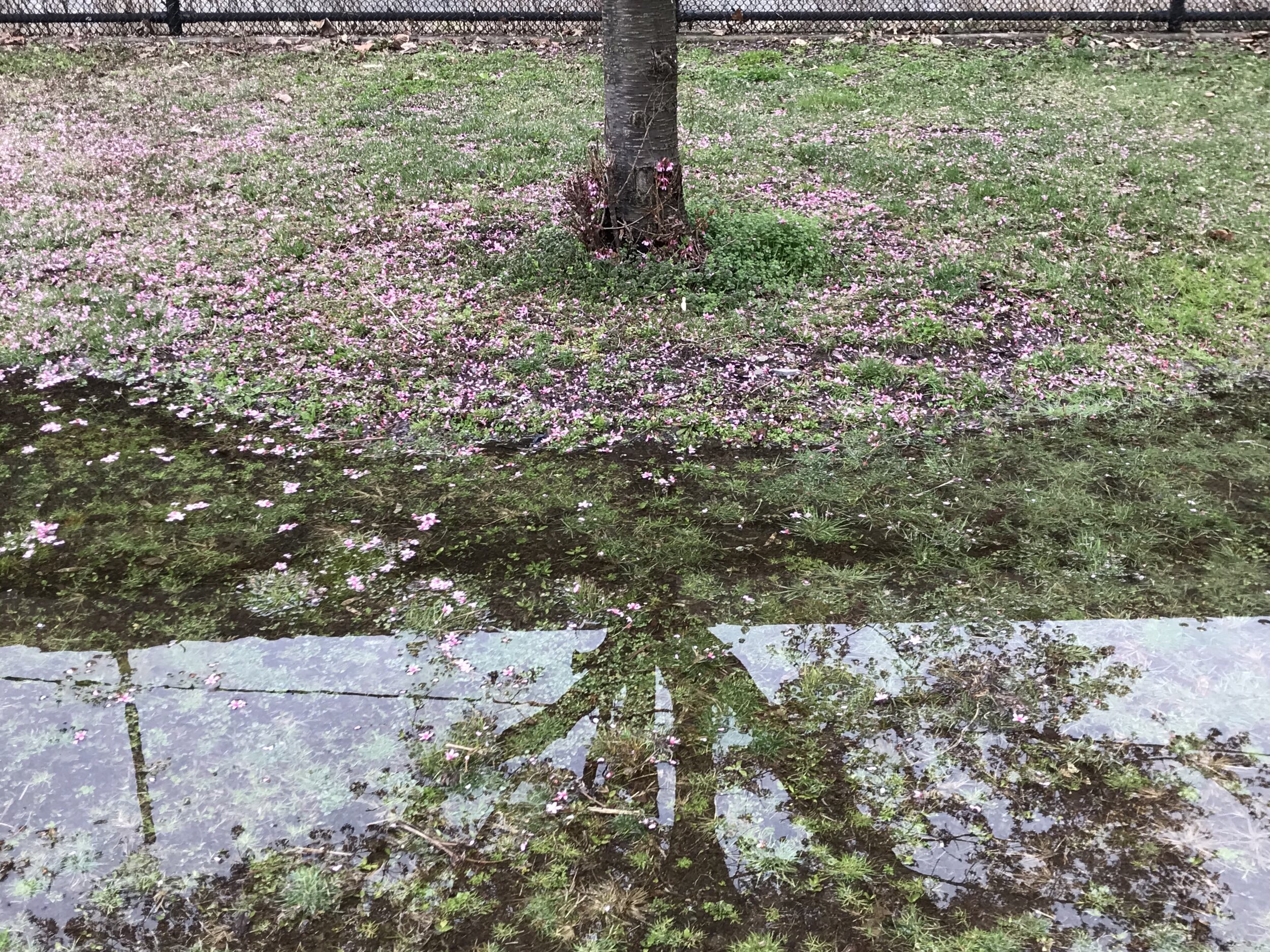 fullsizeoutput_392f.jpeg