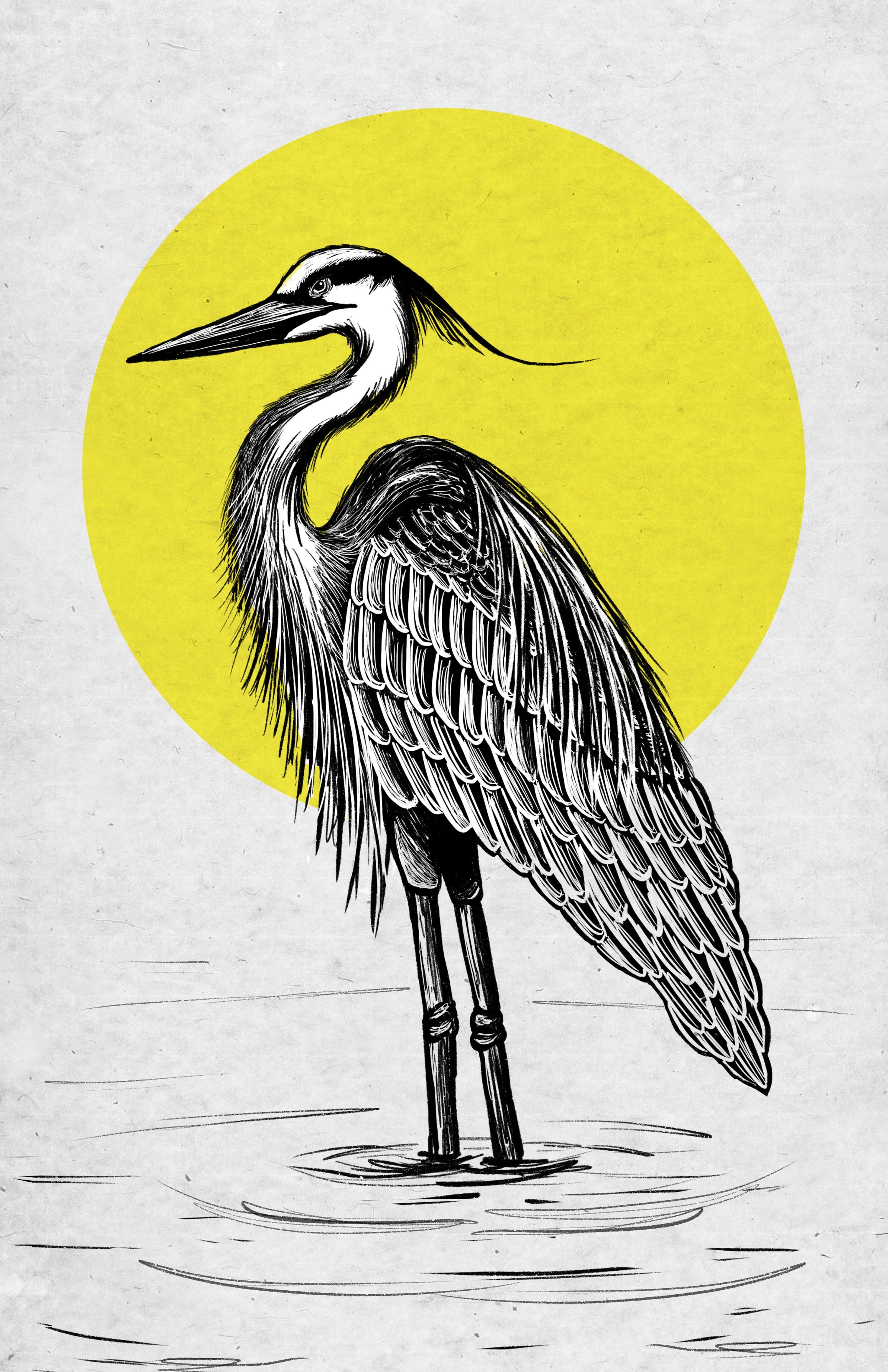 Heron_11x17.jpg