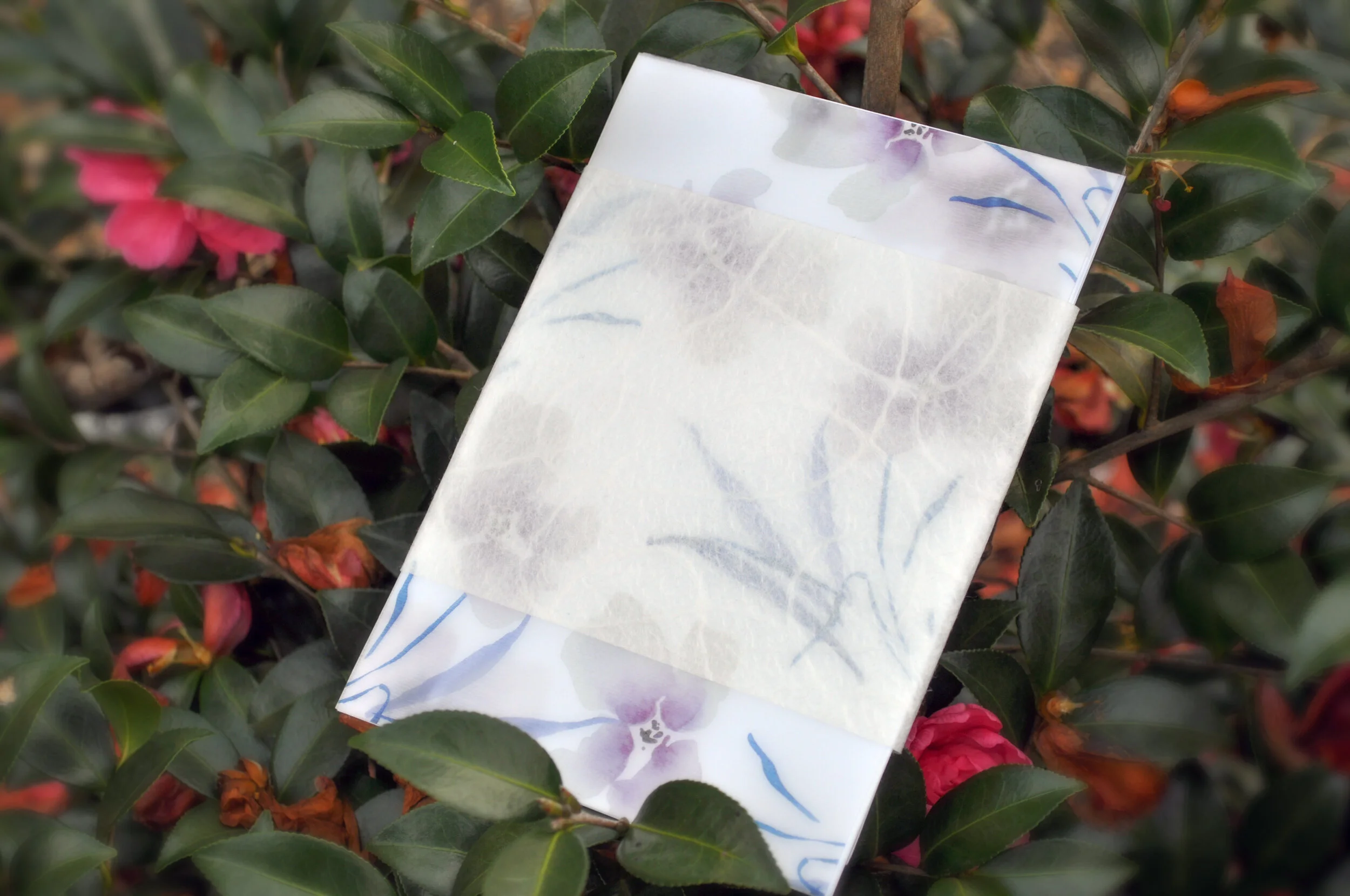 Package_on leaves.jpg