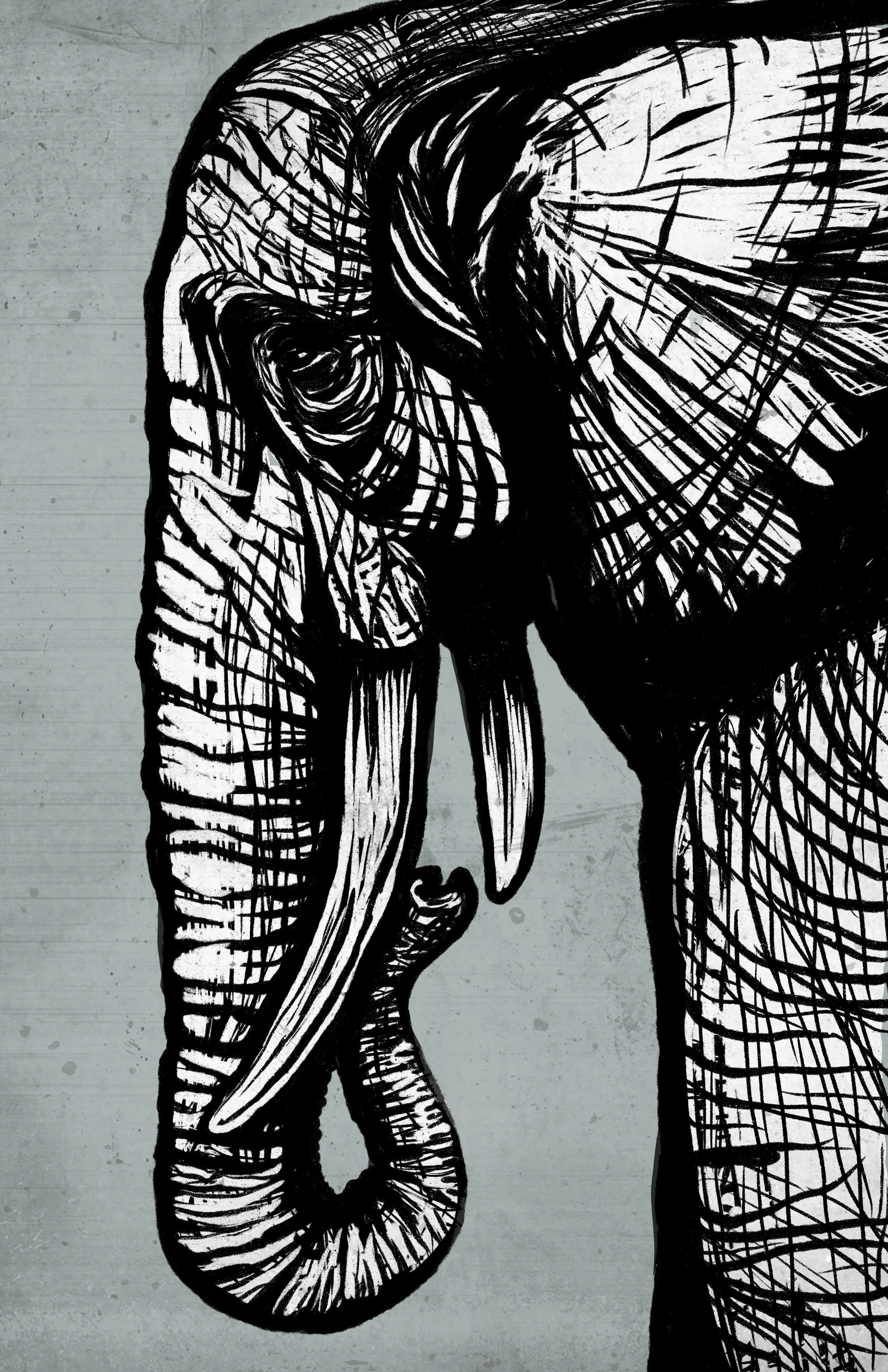 Elephant_11x17.jpg