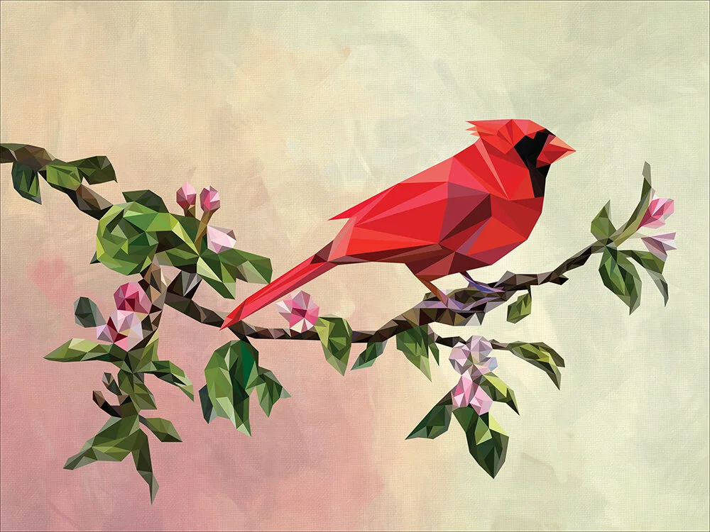 Cardinal_3x4.jpg