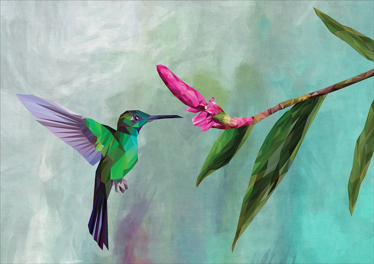Hummingbird_ISO.jpg