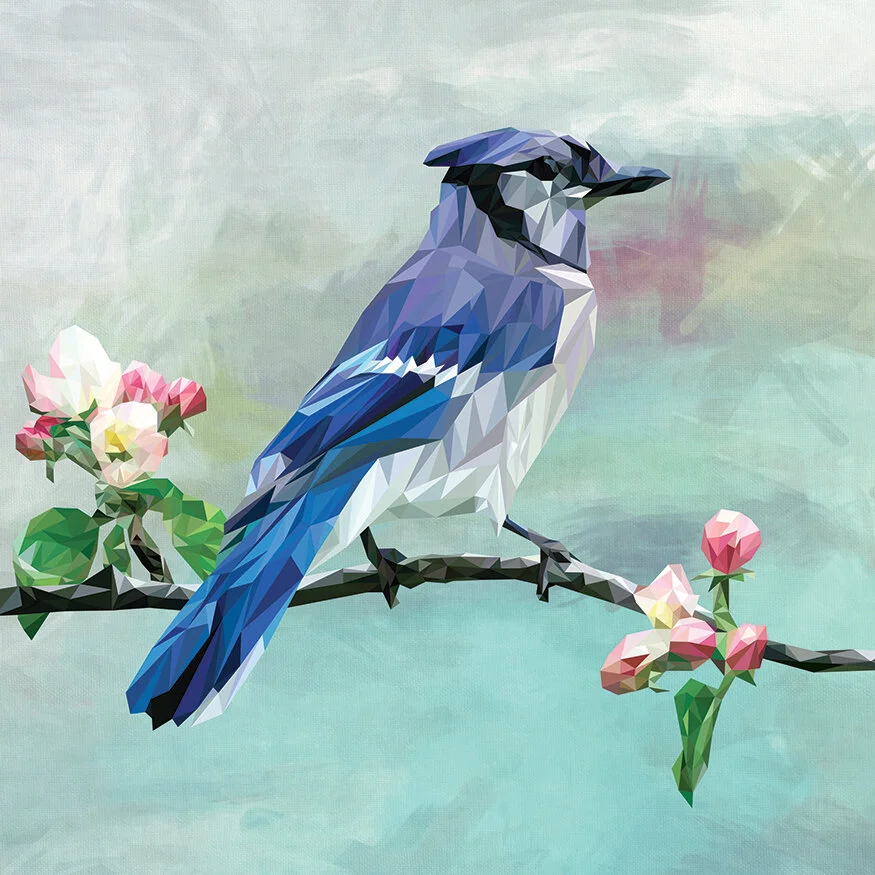 BlueJay_Square.jpg