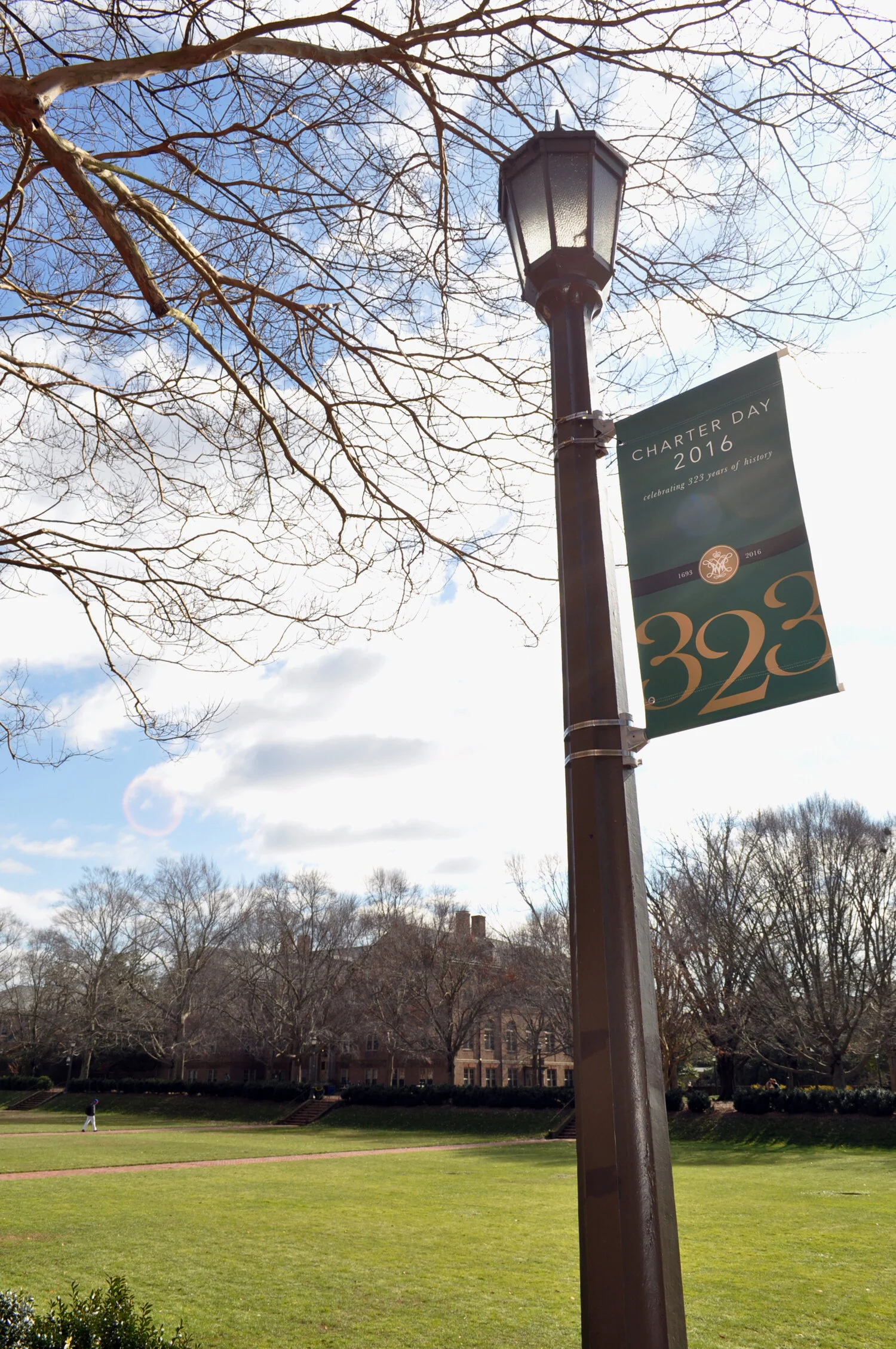 BannerGreen_0130.jpg