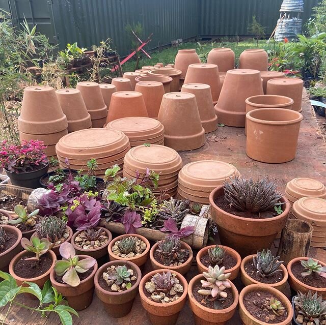 Spending time in your garden? We’ve stocked up on pots...have planters w mixed greens, herb and plant starts and seeds. #happygardening #stayhealthy #staysafe
