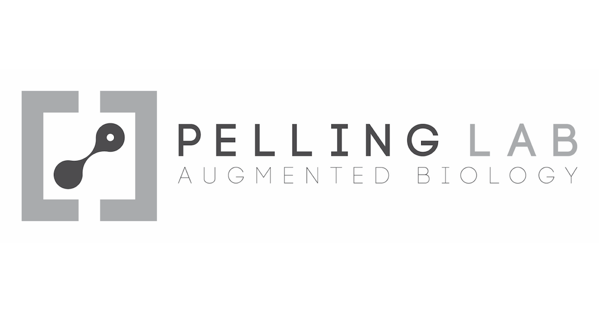 pelling.png