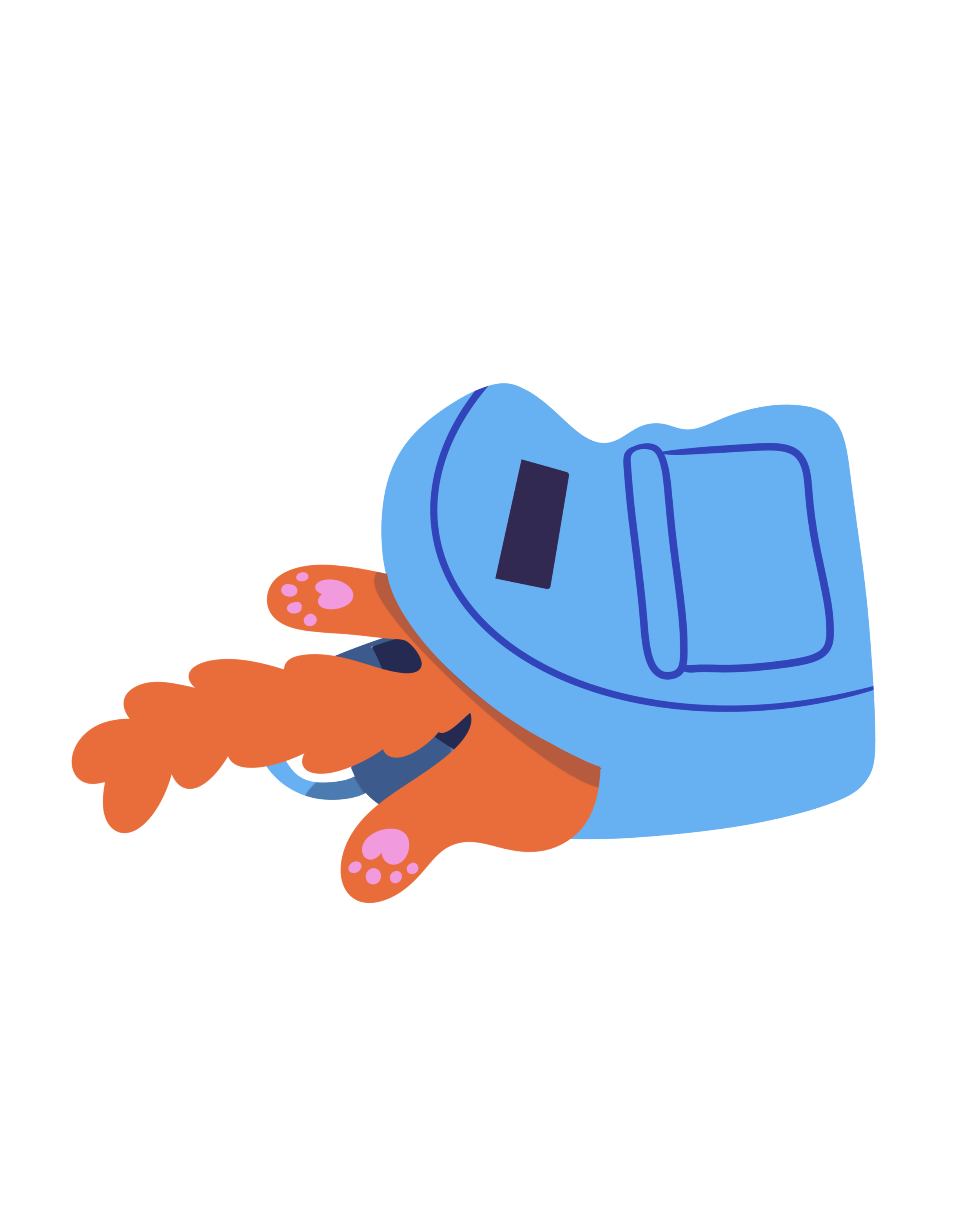 Cat_Box 1.png