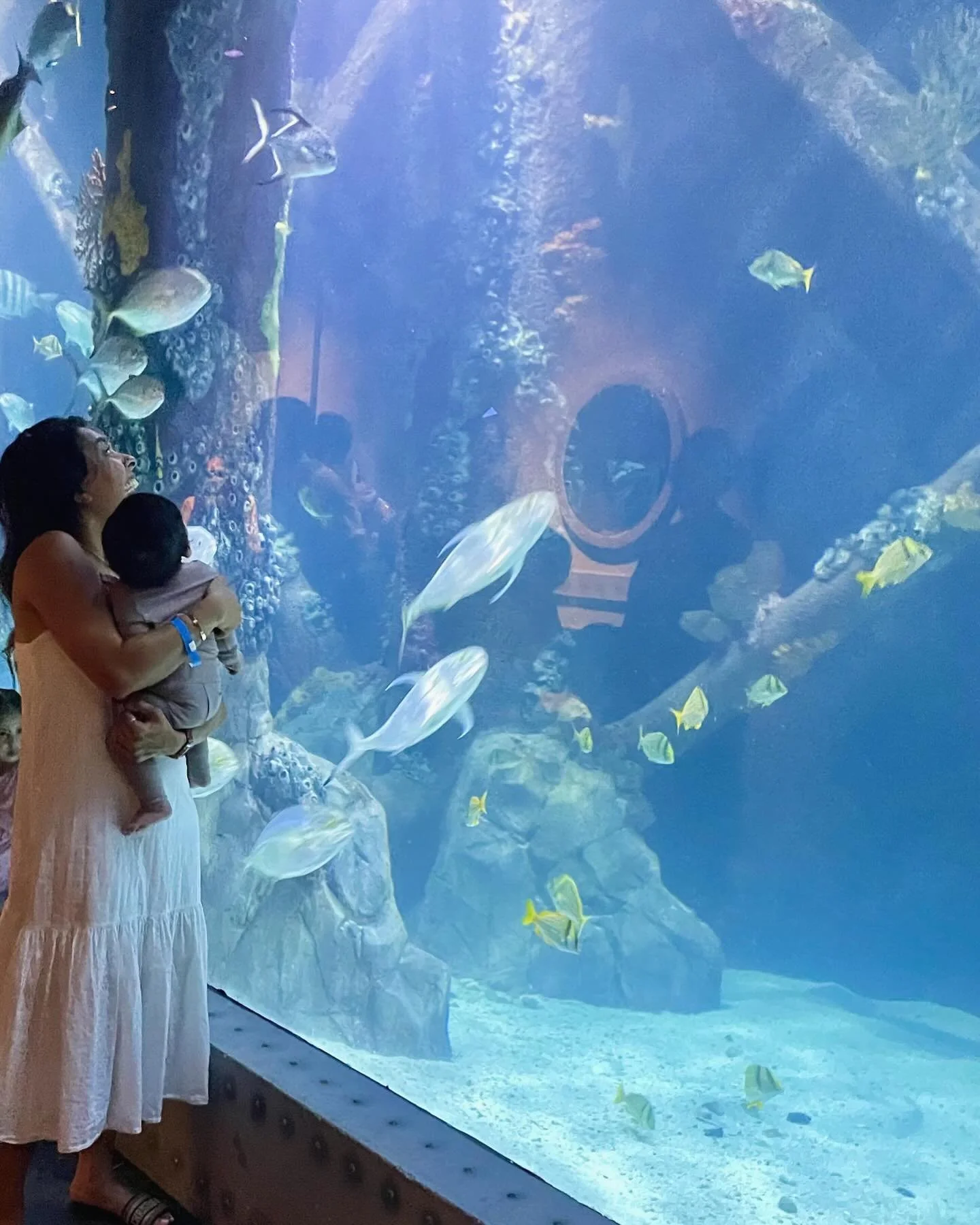 The most beautiful four months seeing the world through your eyes 🐠🤍