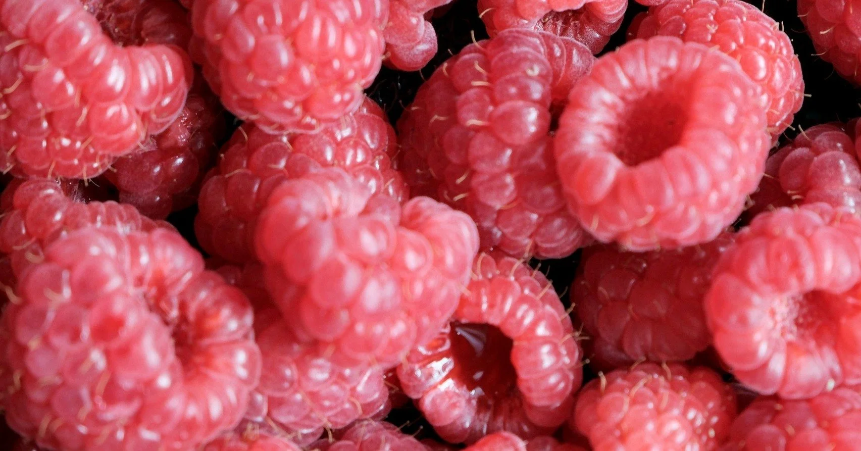 Rule number 1: real fruit only 
Rule number 2: refer to rule number one 

 #raspberry #kombucha #swisskombucha #swissdrink
