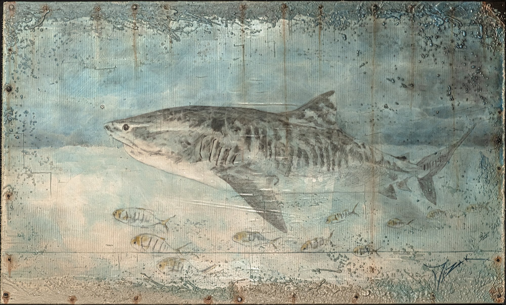 Trevor Mezak_Tiger(Shark).jpeg
