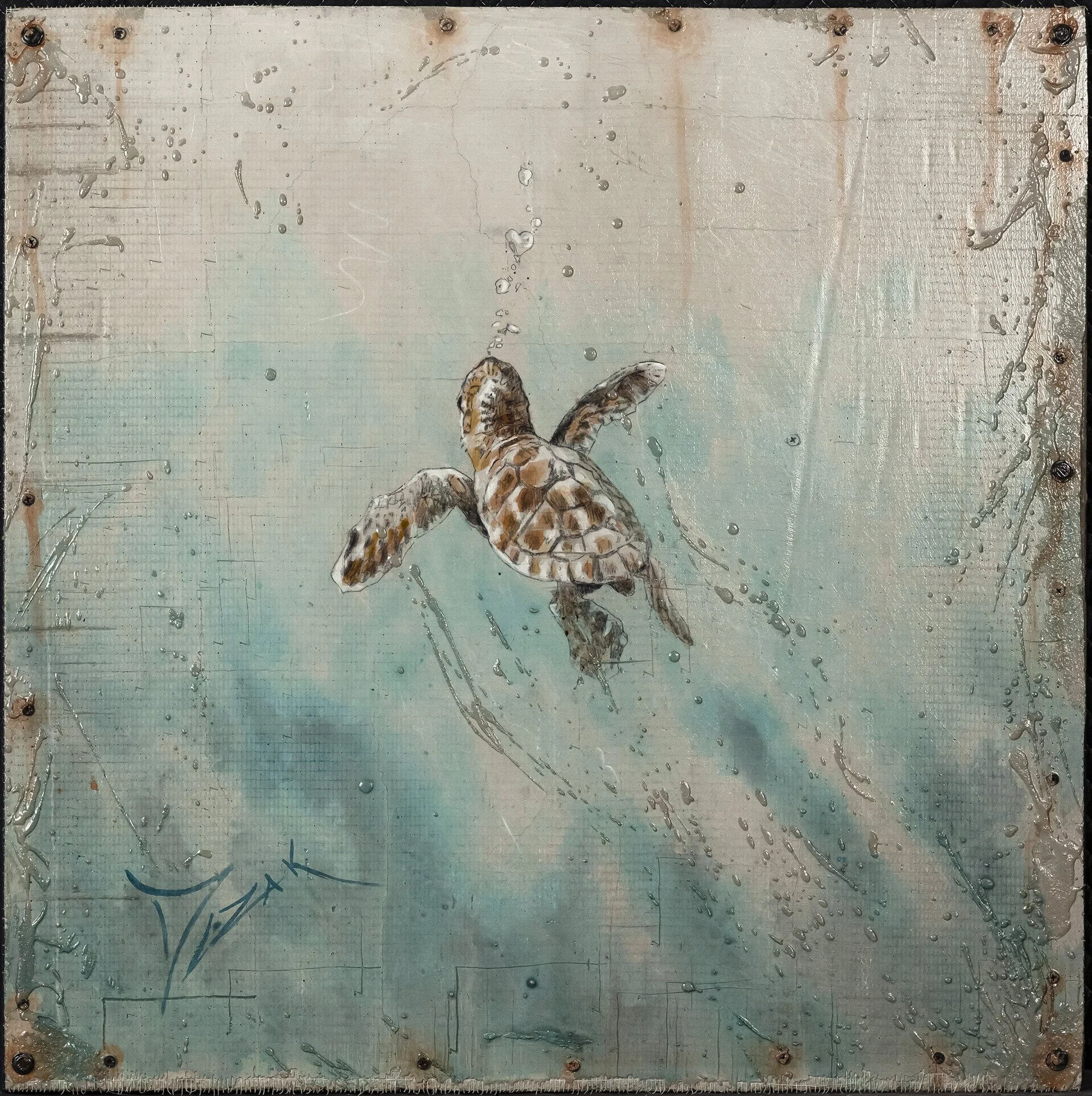 Trevor Mezak_Baby Blue.jpeg