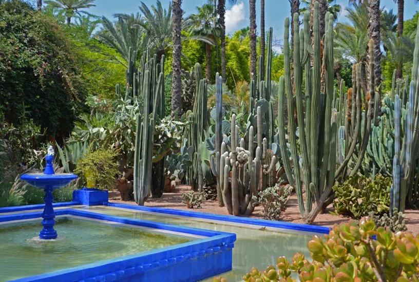 JARDIN MAJORELLE | MARRAKECH | MOROCCO