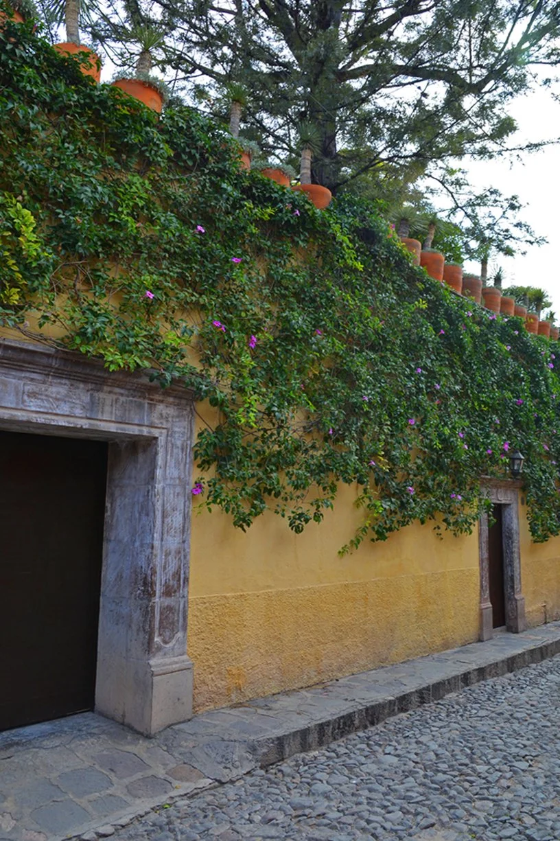  SAN MIGUEL DE ALLENDE  |  MÉXICO 