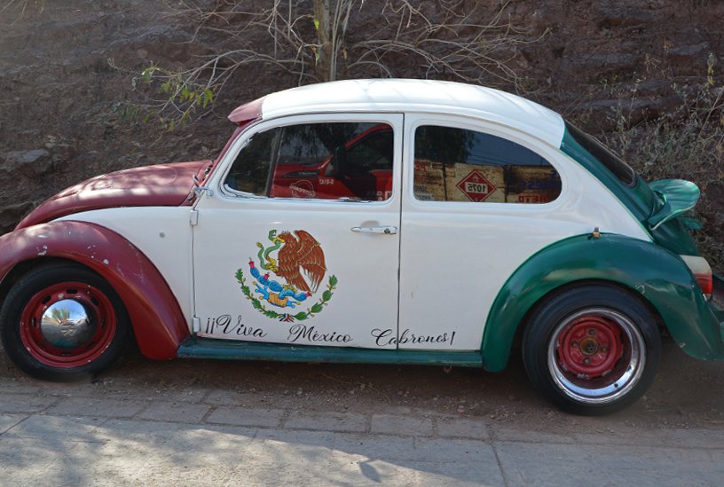  VIVA MÉXICO CABRONES  |  GUANAJUATO 