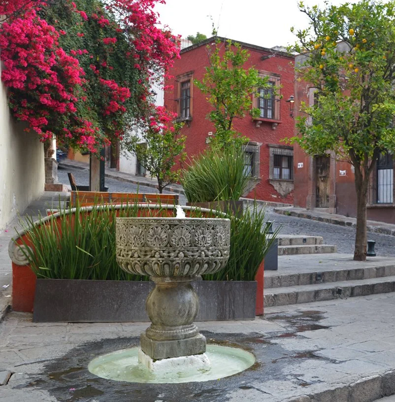  SAN MIGUEL DE ALLENDE  |  MÉXICO 