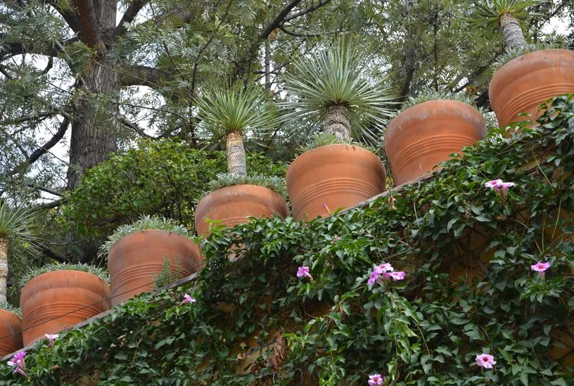  SAN MIGUEL DE ALLENDE  |  MÉXICO 