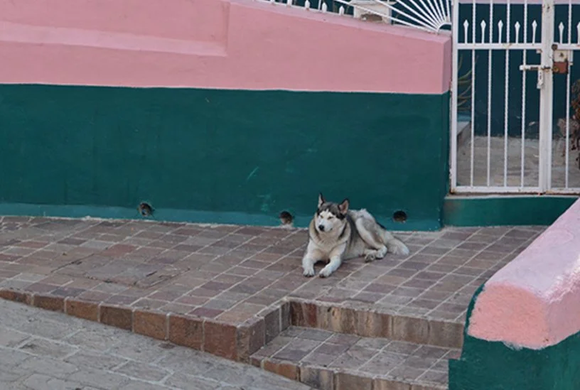  GUANAJUATO  |  MÉXICO 