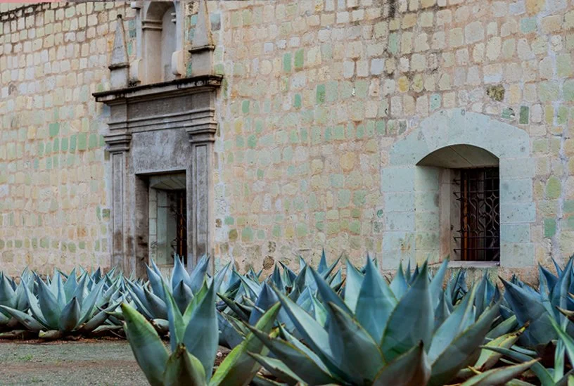  SANTO DOMINGO  |  OAXACA  |  MÉXICO 