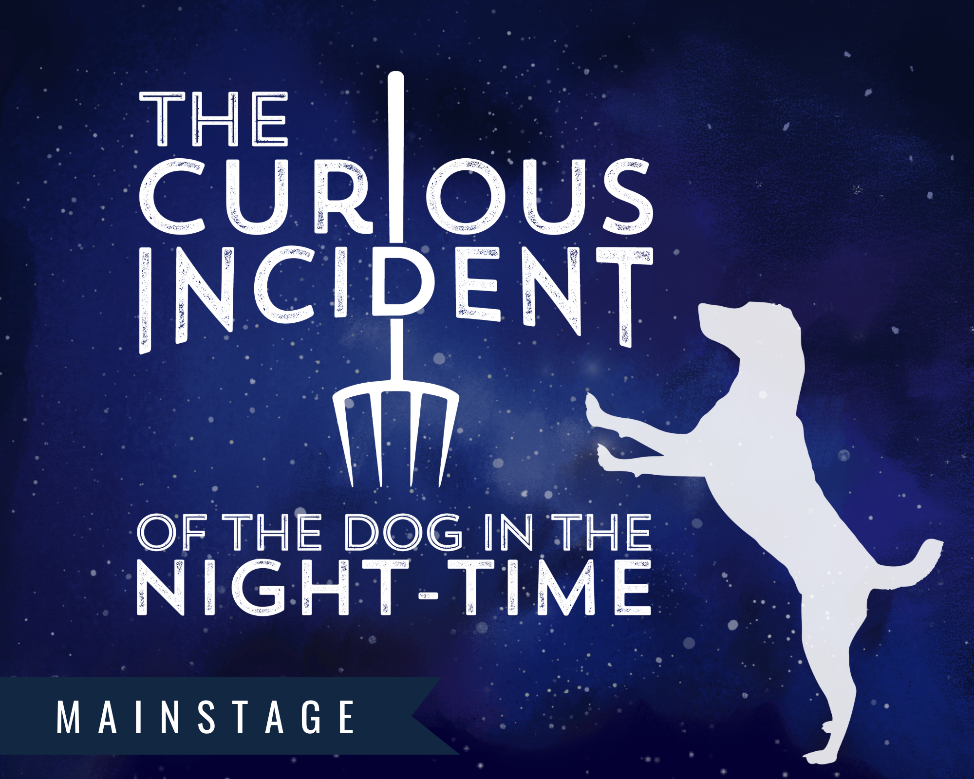 The Curious Incident of the Dog in the Night-Time