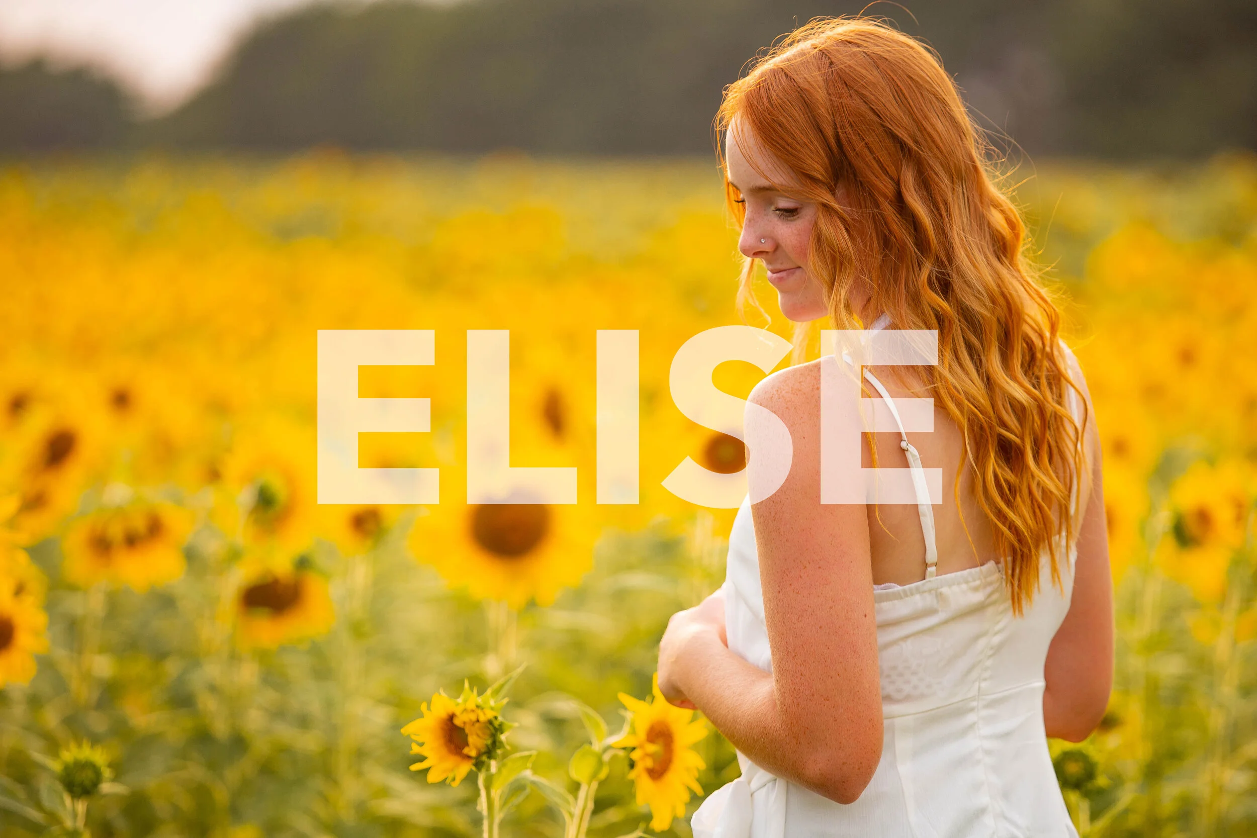 Elise_Cover.jpg
