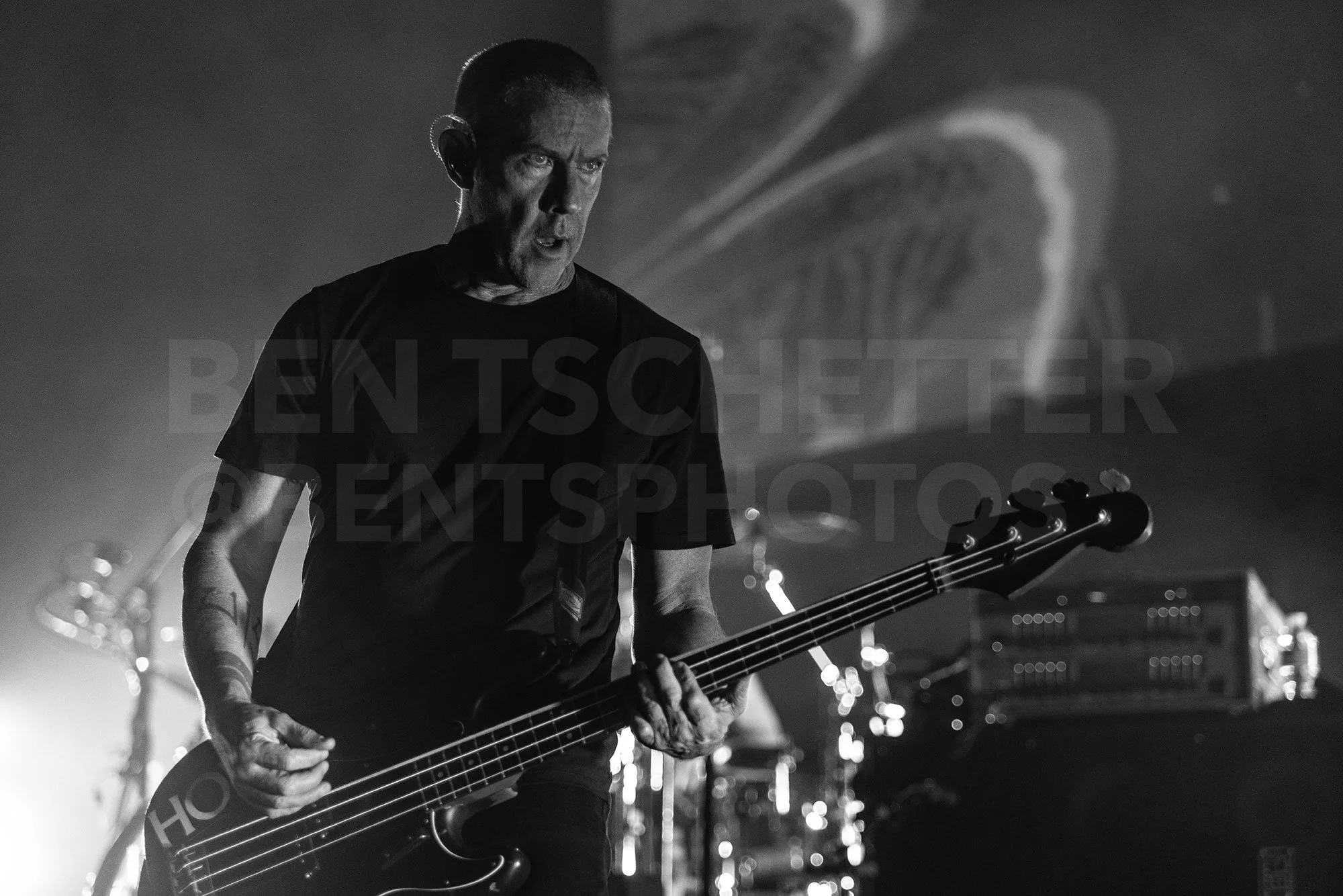 Janes-Addiction-Concert-Eric-Avery.jpg