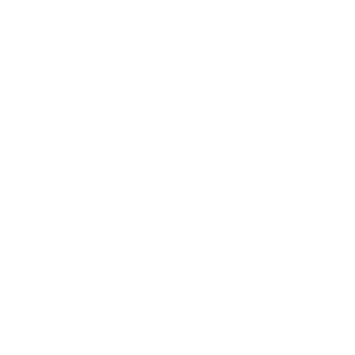 Toyota.png